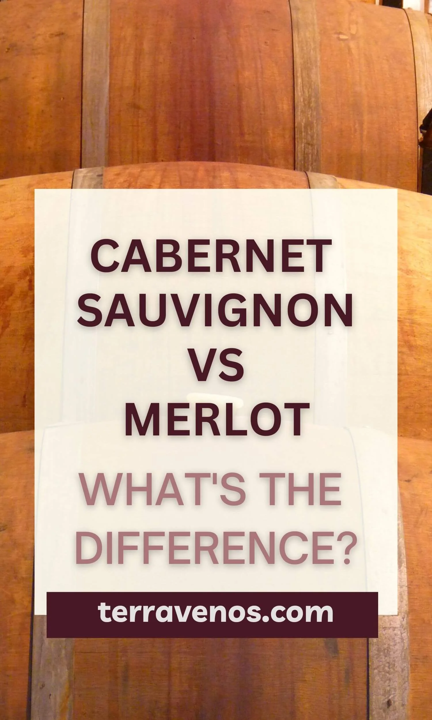 What’s the Difference Between Port and Ruby Port? — tèr·ra·ve·nos