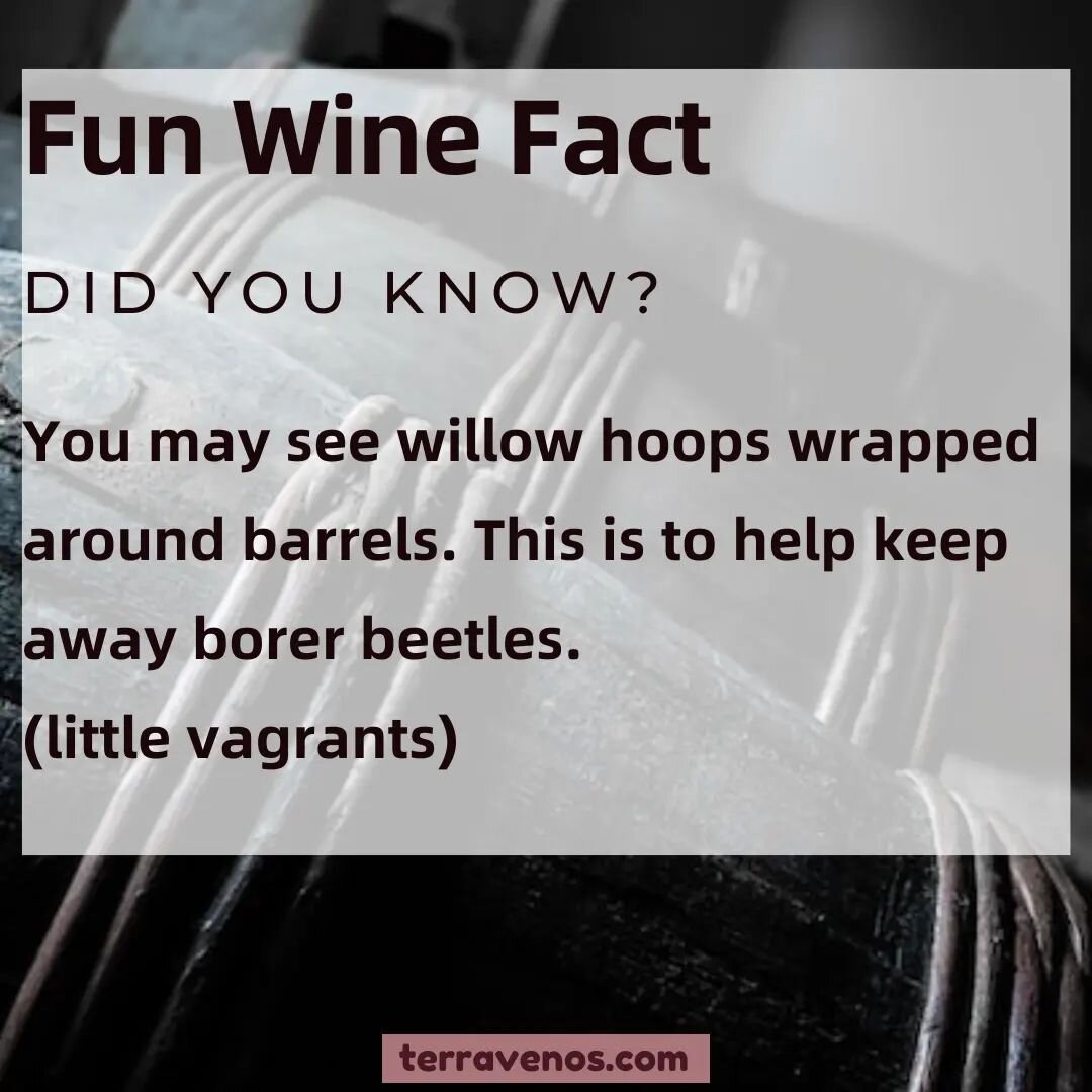 Does it work??? Meh?

But they sure do look sexy😍

👇If you're a winemaker, let us know!

.
.
.
#winefacts #wineislife #winebarrel #naturalwine #naturalwinelover #beetle #wine #wineeducation #winelover #barrelaged