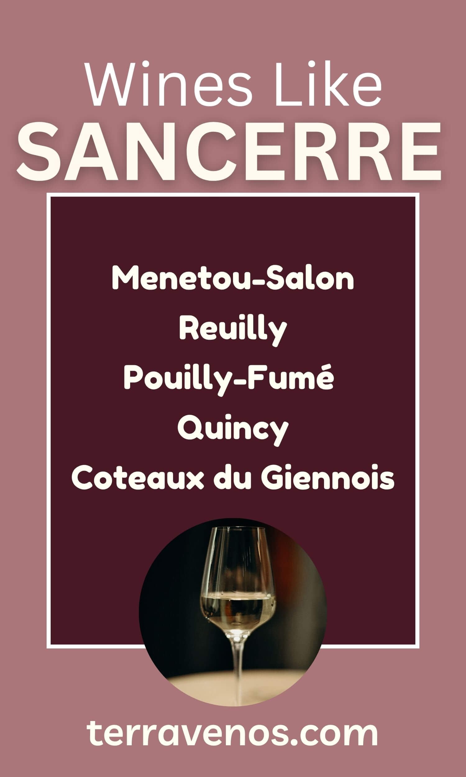 Alternative Wines Like Sancerre: Sauvignon Blanc from Loire Valley