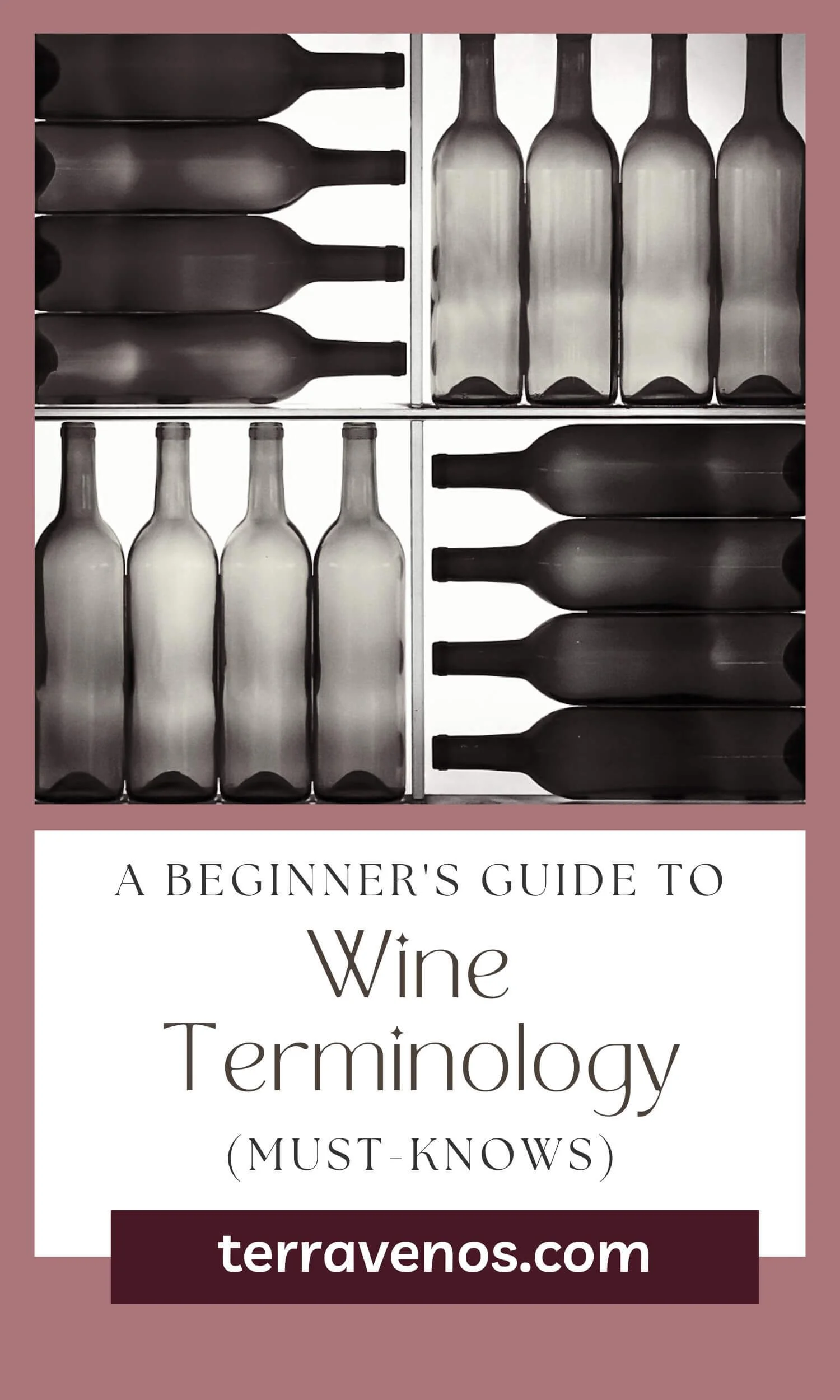 Beginner’s Wine Terminology Guide — tèr·ra·ve·nos