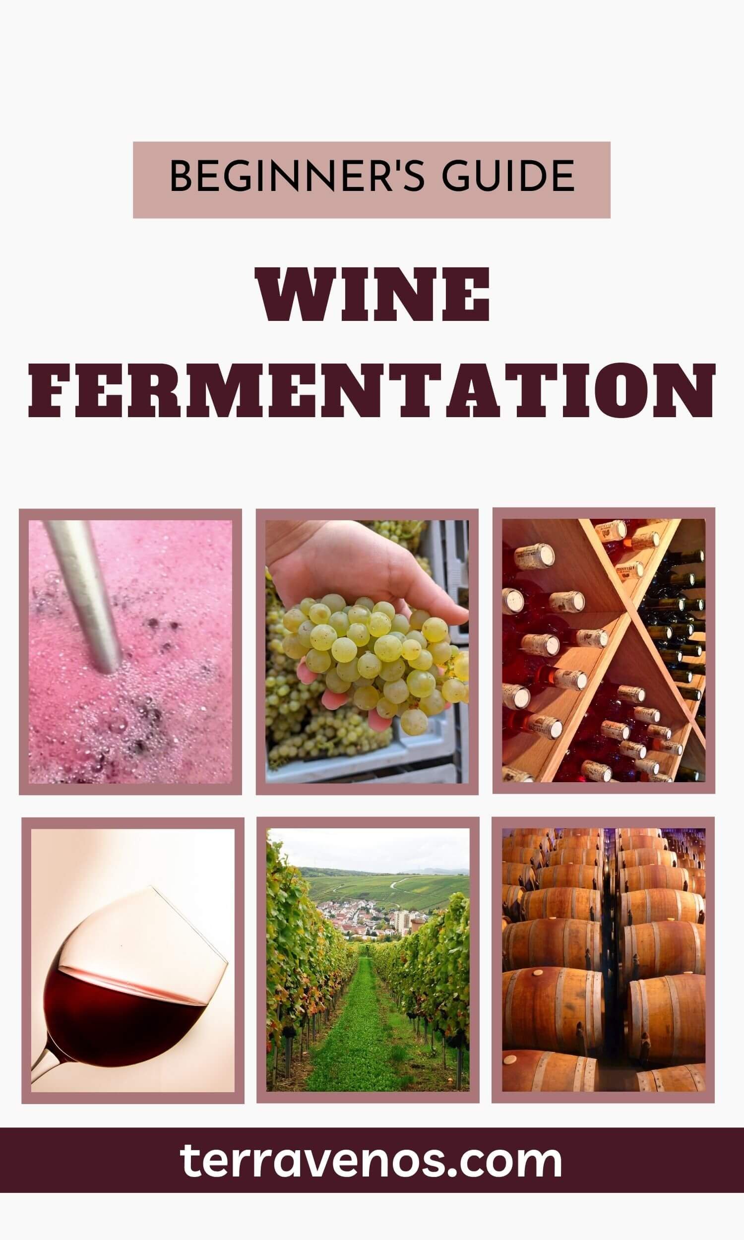 Sauerstoff und Weingärung - Blog Image Template+(65)+(1)
