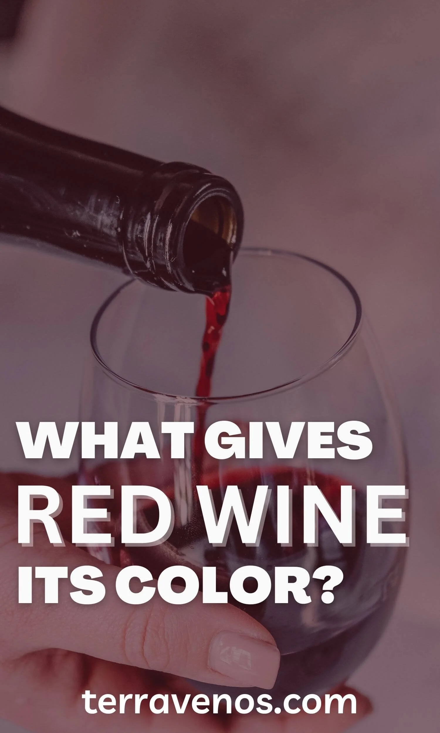 What Gives Red Wine Its Color? — tèr·ra·ve·nos
