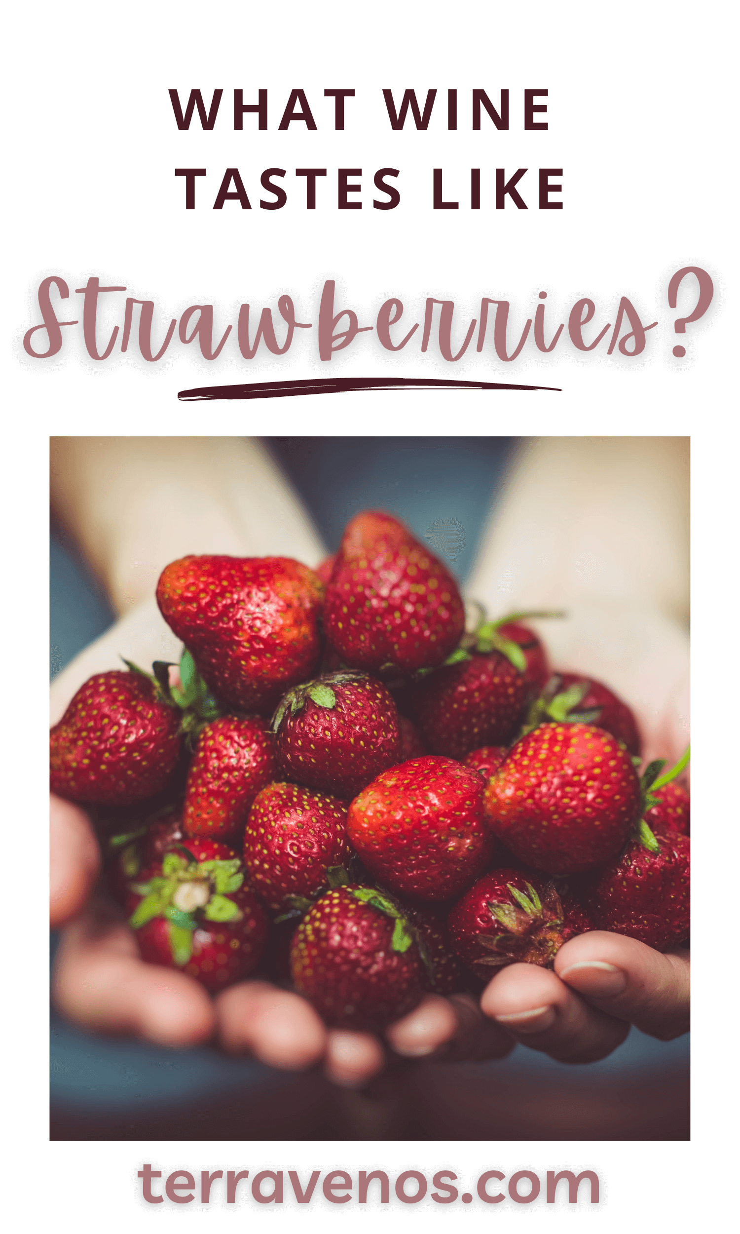 What Wine Tastes Like Strawberries? — tèr·ra·ve·nos