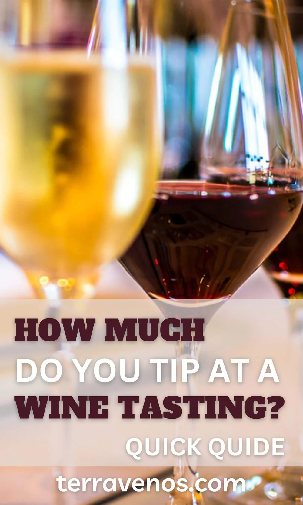 How Much to Tip at a Wine Tasting? Quick Guide — tèr·ra·ve·nos