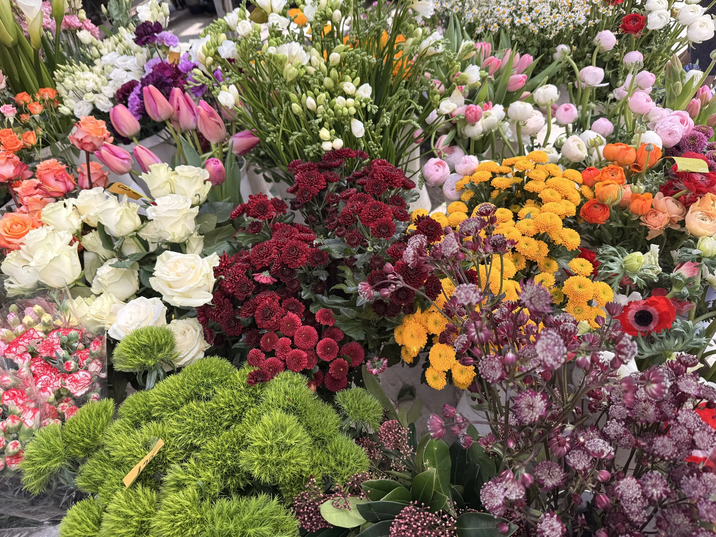 Behind the Blooms: Navigating Florence Flower Markets