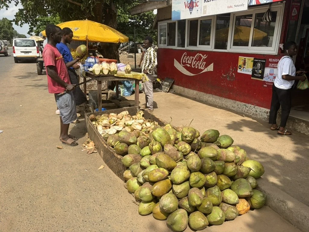 A Coconut a Day Keeps the Plastic Away