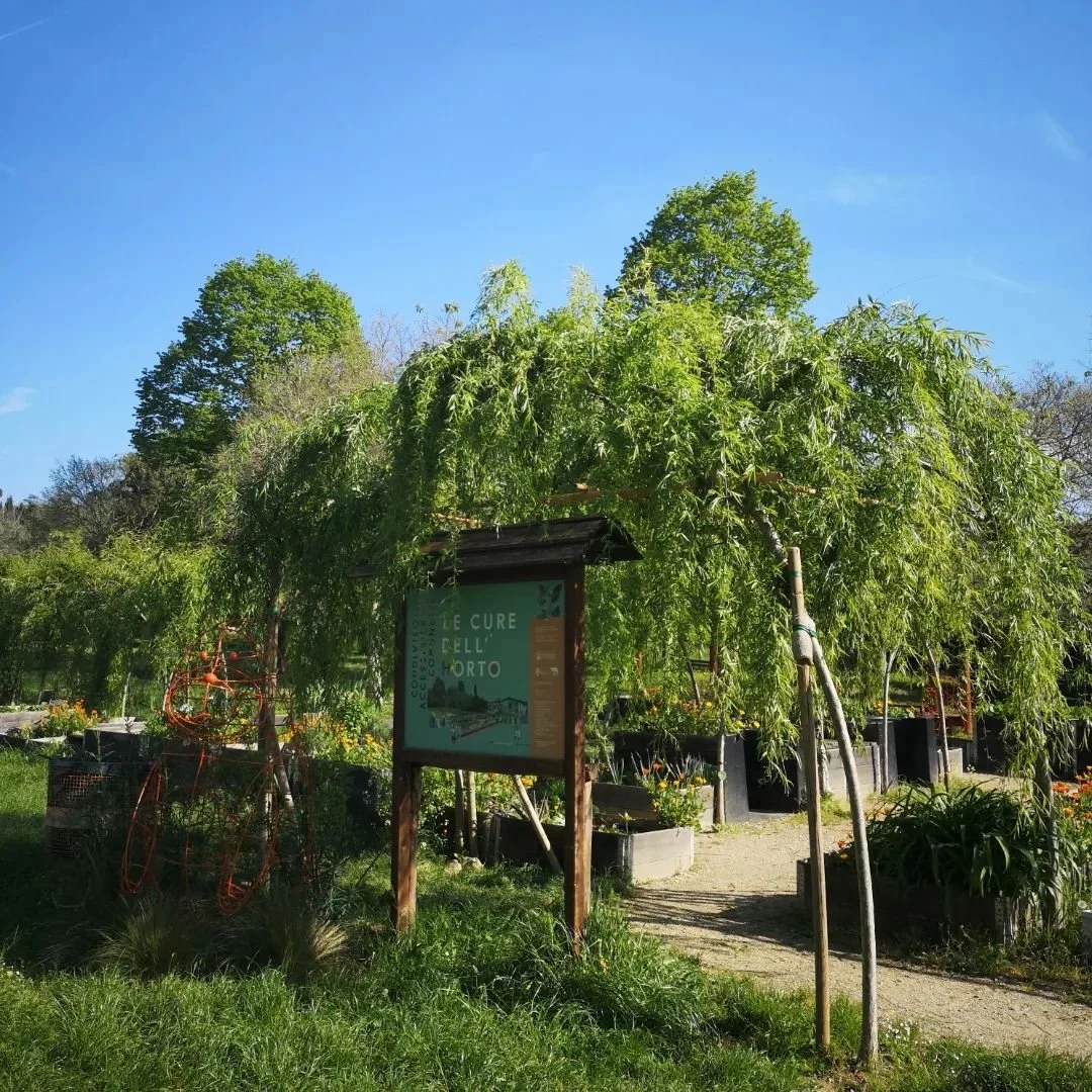 Le Cure’s Green Heart