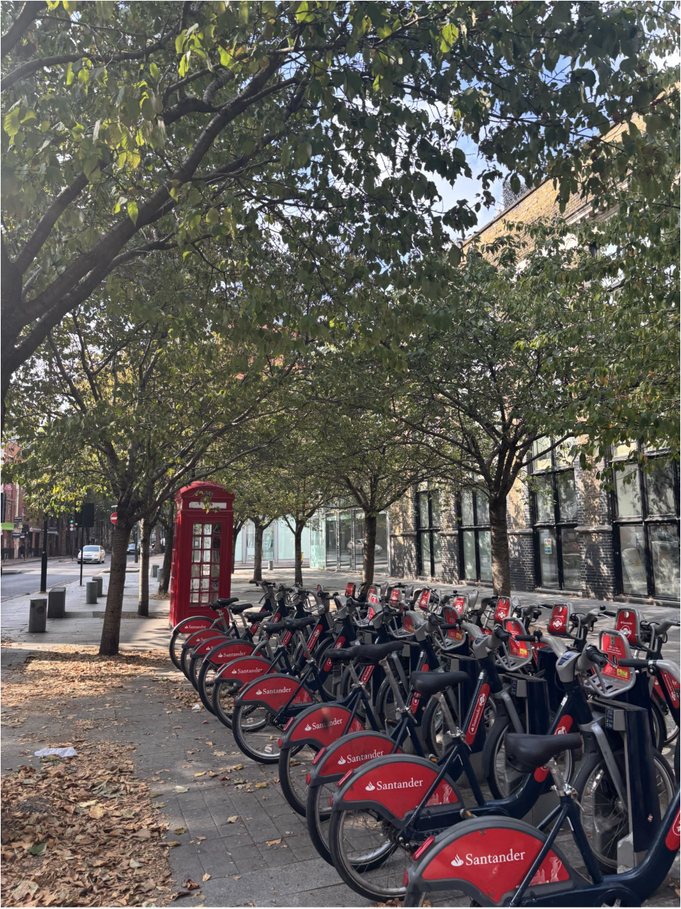 A Sustainable Commuter or a Safety Nightmare?&nbsp;The Reality of London’s Cycling Trend.