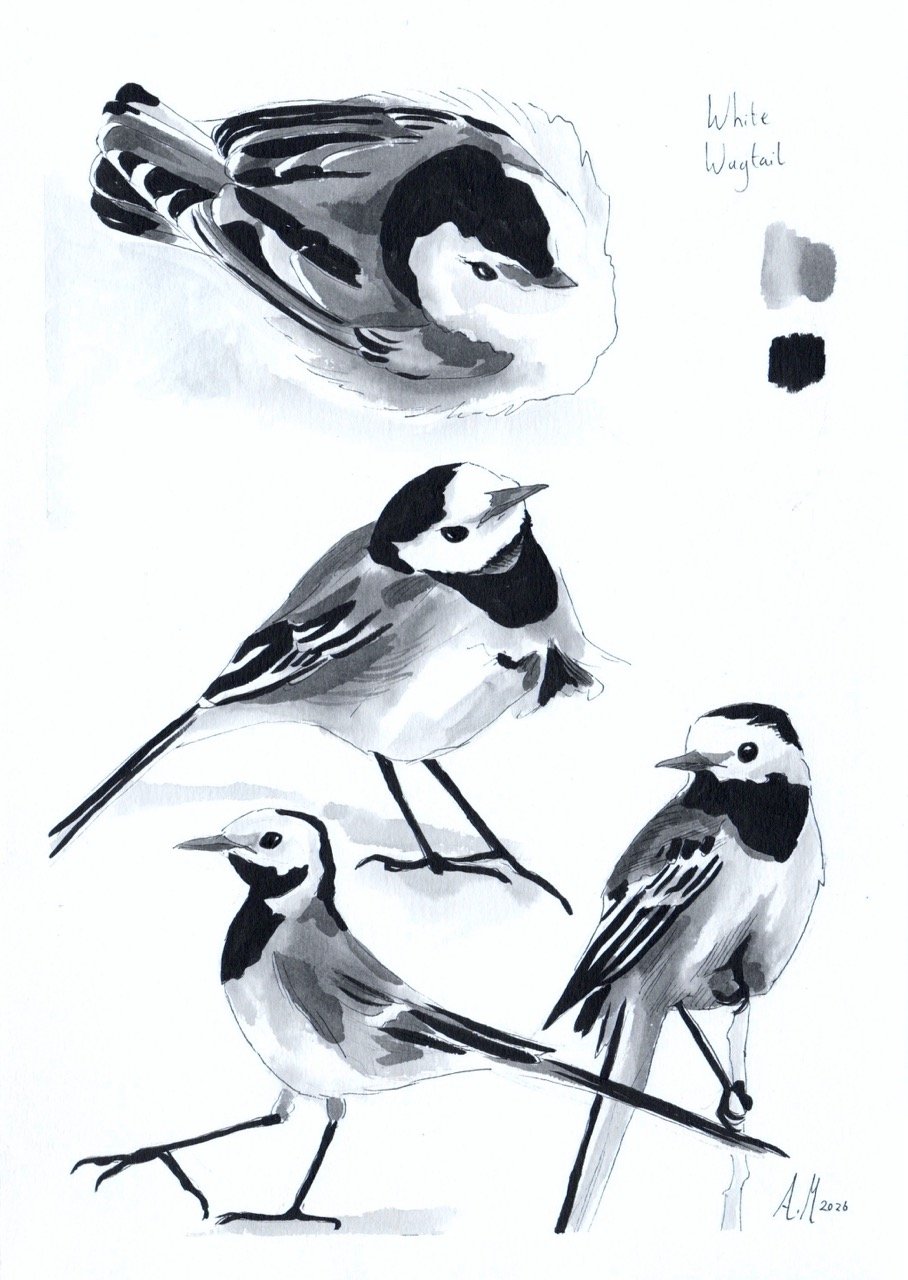 img20260103_12232942 Large.jpeg