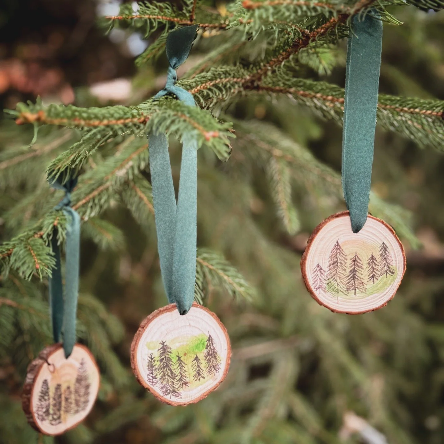 I started making these wood ornaments as I've returned to my painting practice, inspired by the gentle, steadfast evergreens in winter. I'm making a very small run of them, hand-painted and hand-inked, with a soft green chiffon ribbon for hanging. Ea