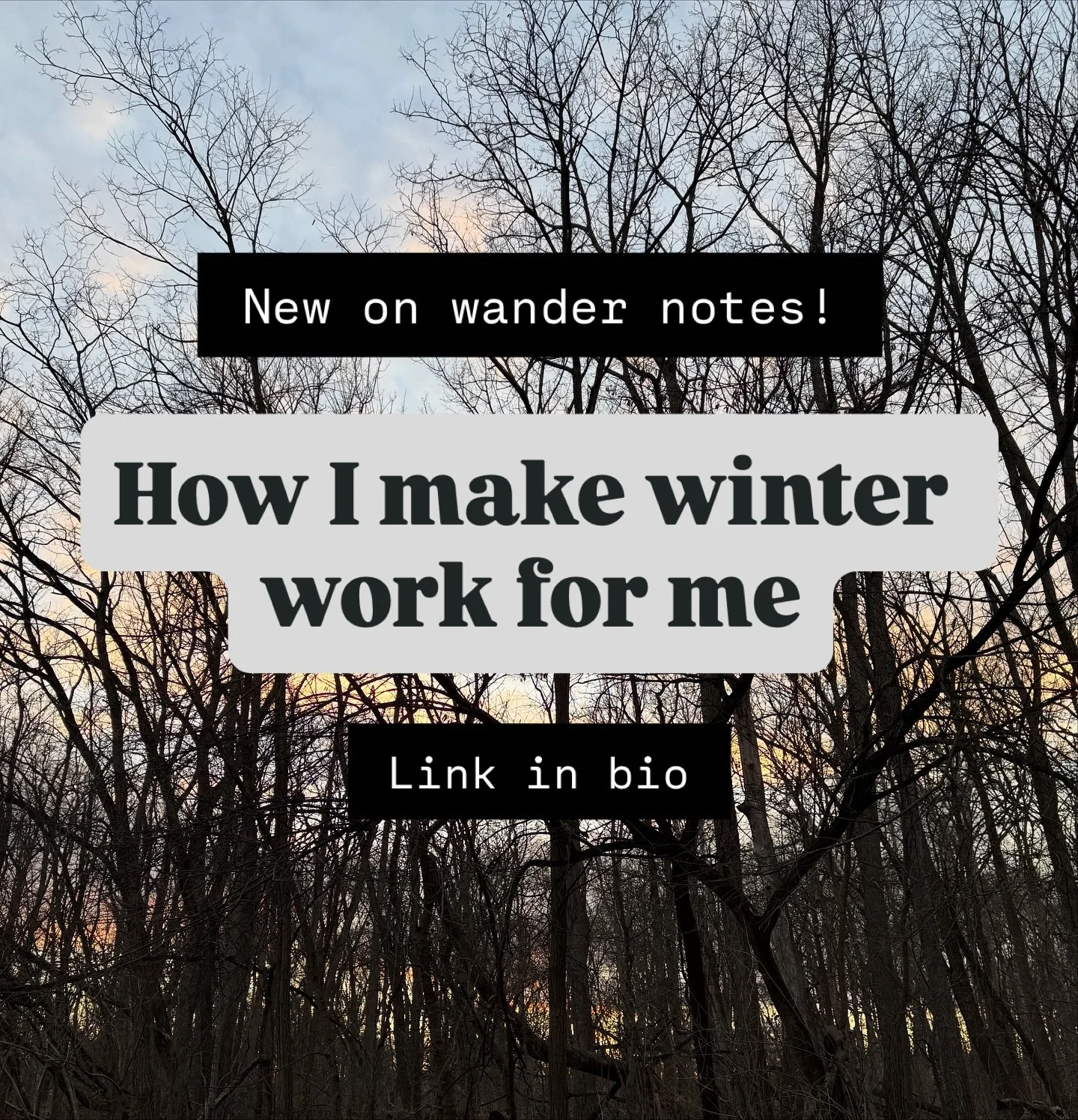 I used to resent winter in my adult life (I loved sledding and snowballs as a kid!) and it took me years to figure out that finding my own ways of leaning into the season instead of resisting it was the way to go. As we head into this season, I wrote