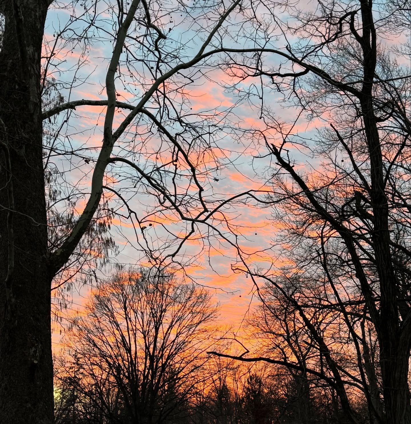 What a year it&rsquo;s been. I made a big leap and stepped away from my corporate role to take some time to rest, heal some burnout, and focus on Wanderwood. 

This year has asked me to go slow. It has required more patience than I thought I would ne