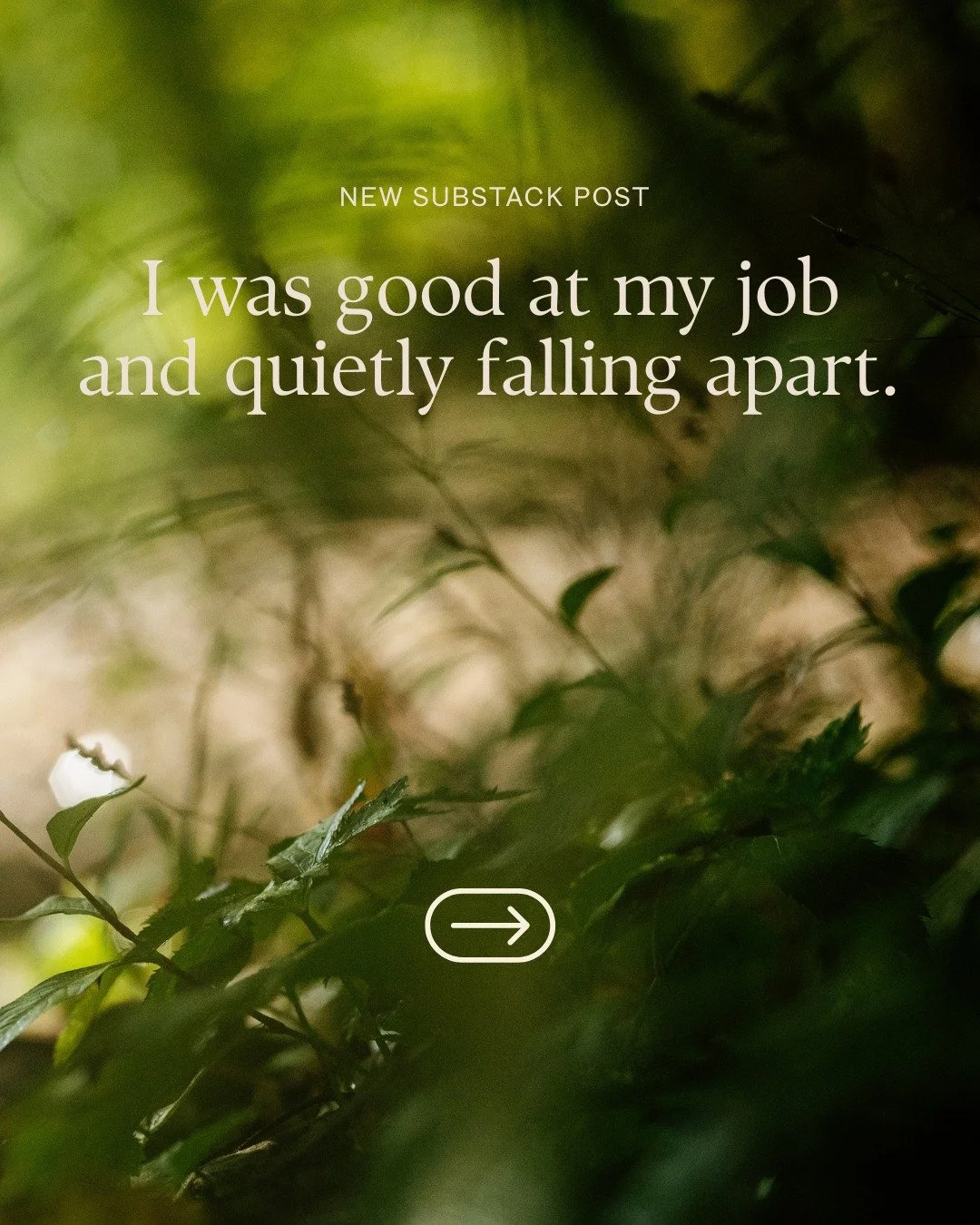 For the leaders who look successful on the outside but are quietly exhausted on the inside. I wrote about what helped me find my way back. Link in bio to read the full story. 🌲

#conciousleadership #burnoutrecovery #foresttherapy #authenticleadershi