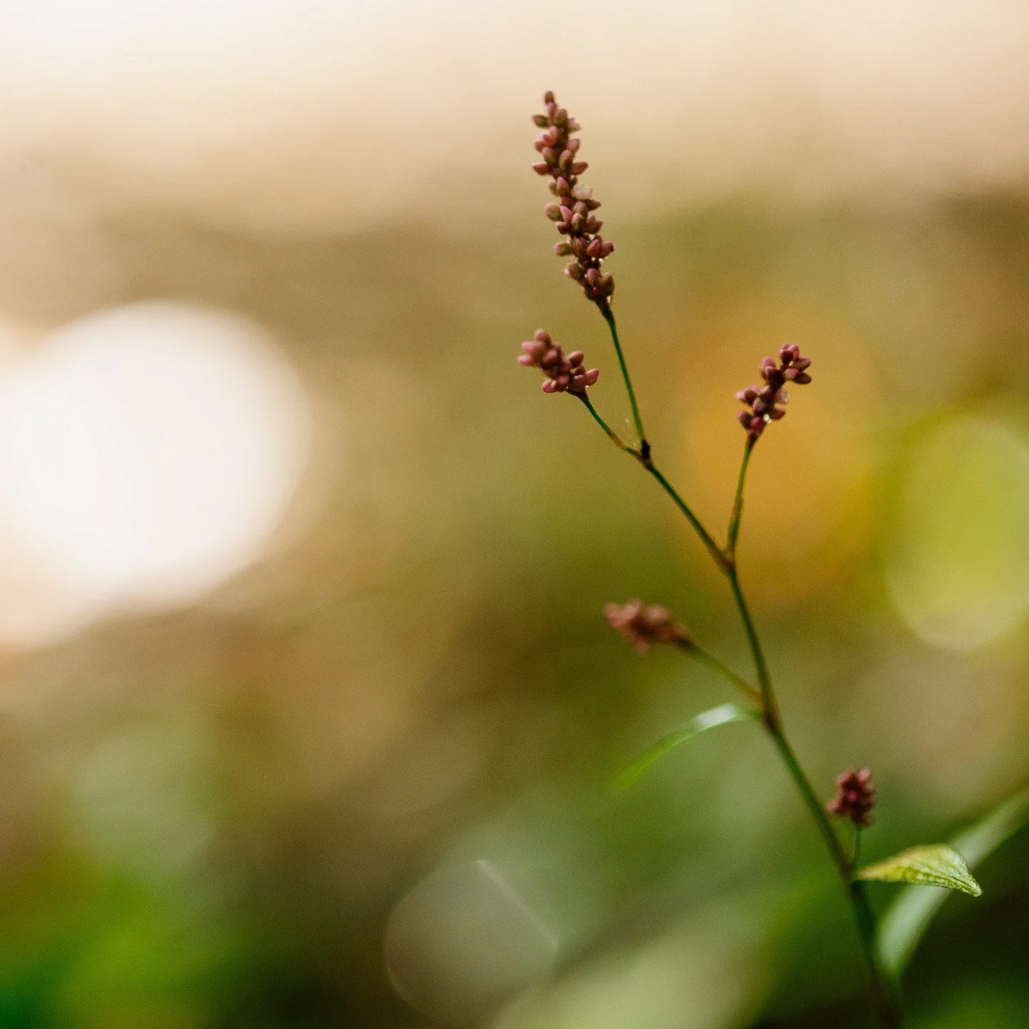 Your nervous system understands and responds to the natural world.

Twenty minutes outside, three times a week. That's all the research says it takes to see your cortisol levels lower. And just looking at trees or water, even through a window, can ke