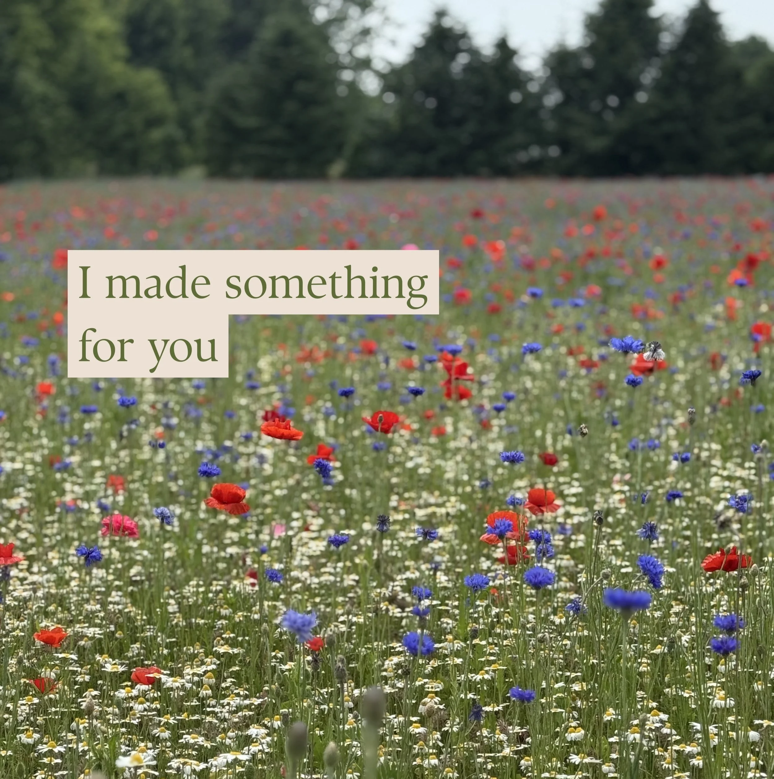 I&rsquo;ve been busy crafting something that I&rsquo;m really excited to share with you. It&rsquo;s inspired by what has helped me when I&rsquo;m feeling especially busy or rushed. When my mind needs rest and reconnection. It&rsquo;s called The Meado