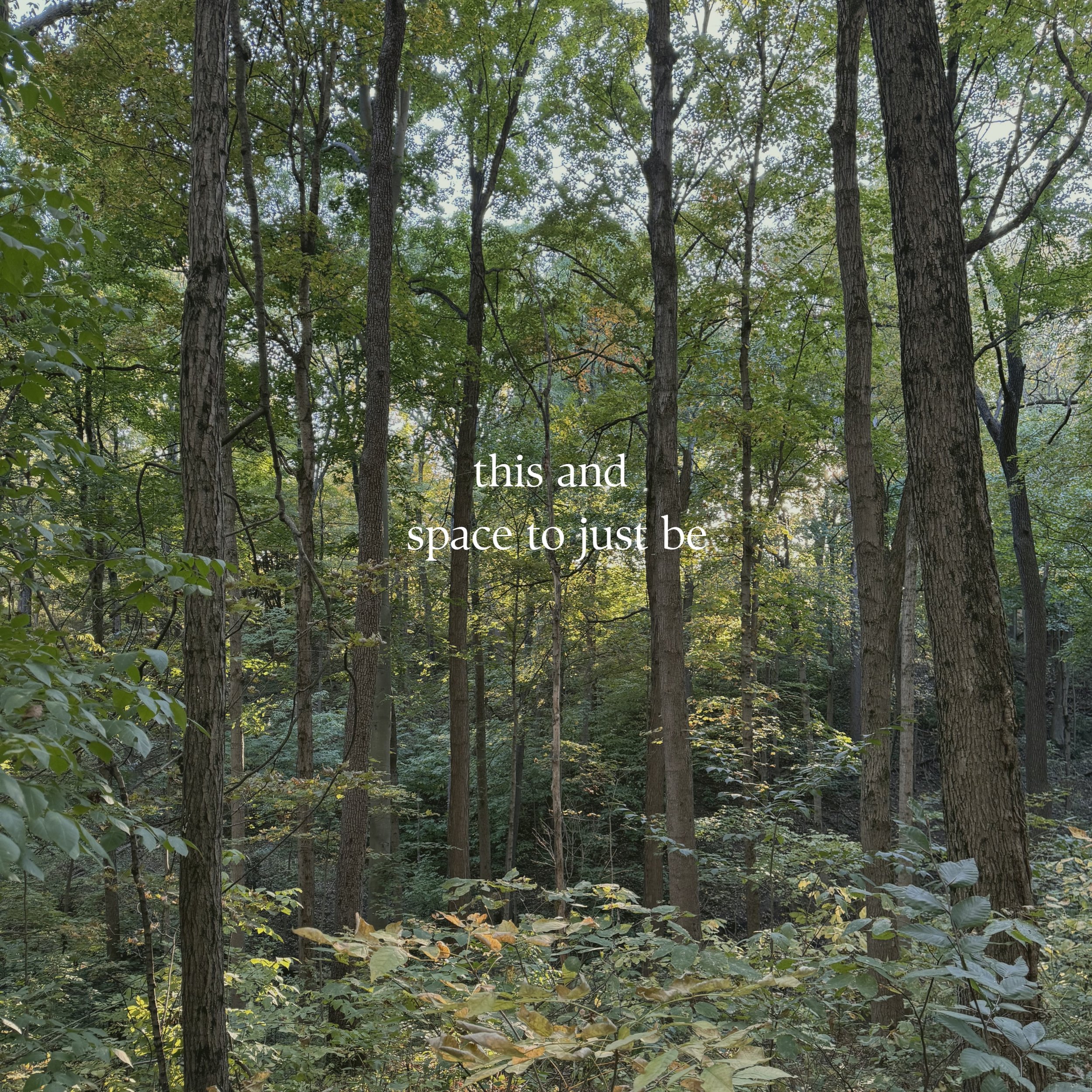 If any of that sounds like what you need, join me in The Meadow. Link to sign up in bio.

#retreat #reconnectwithyourself #themeadow #makingspace