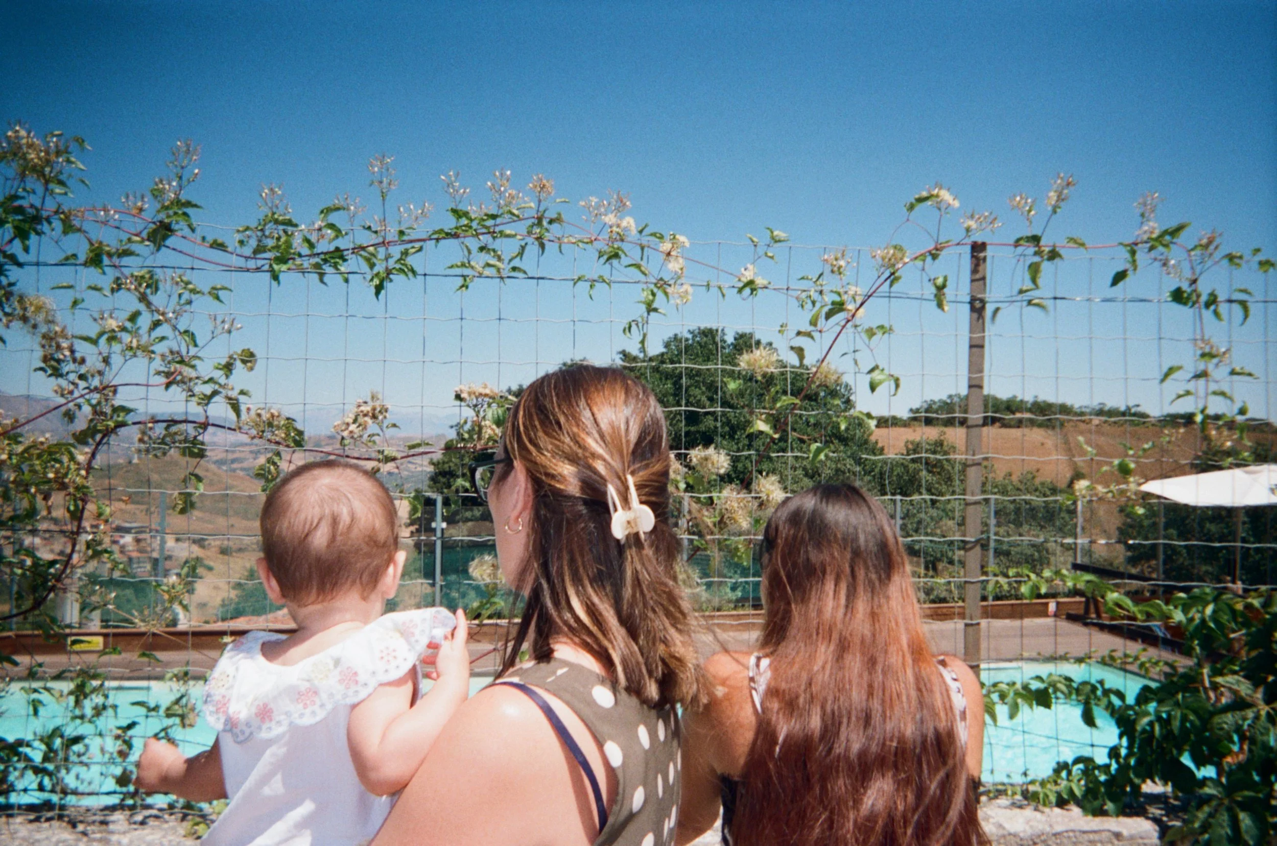 Sicily