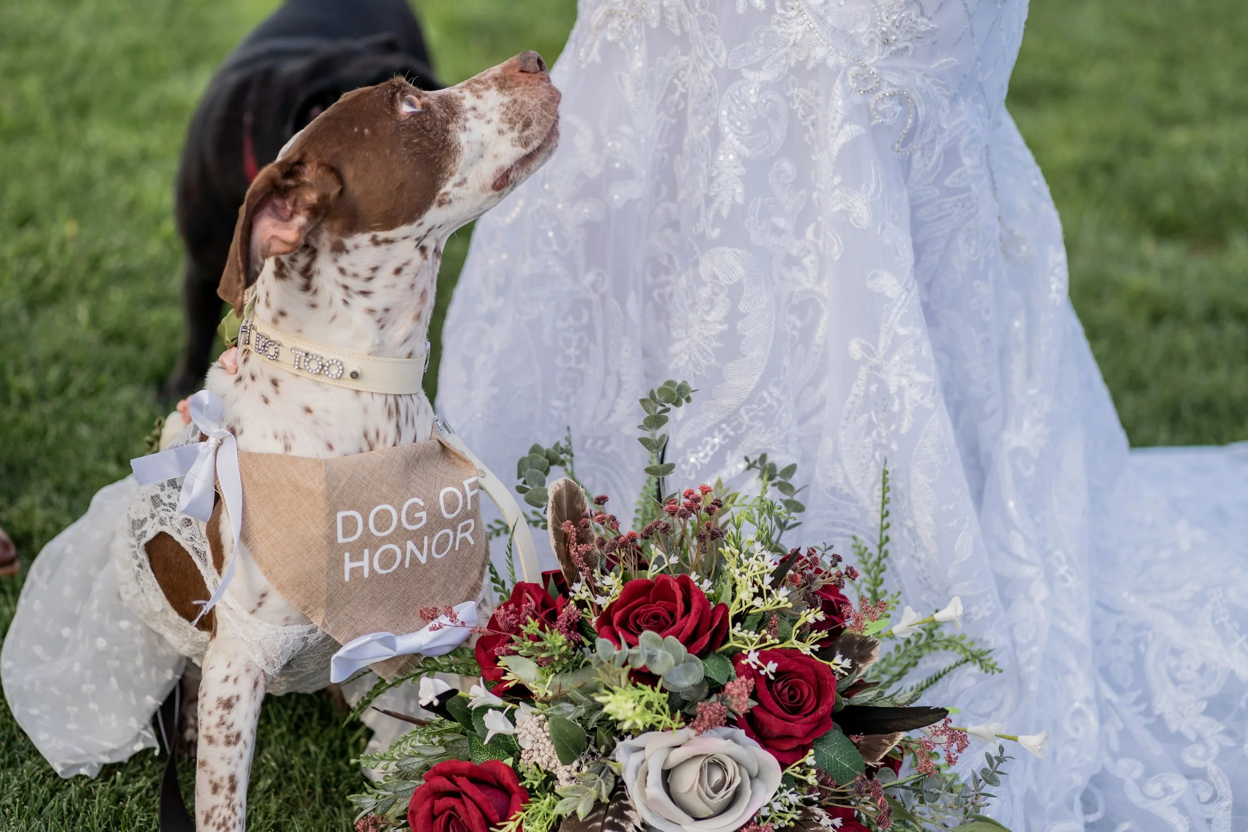 dog-of-honor-wedding-details-rebel-lens-photography.jpg