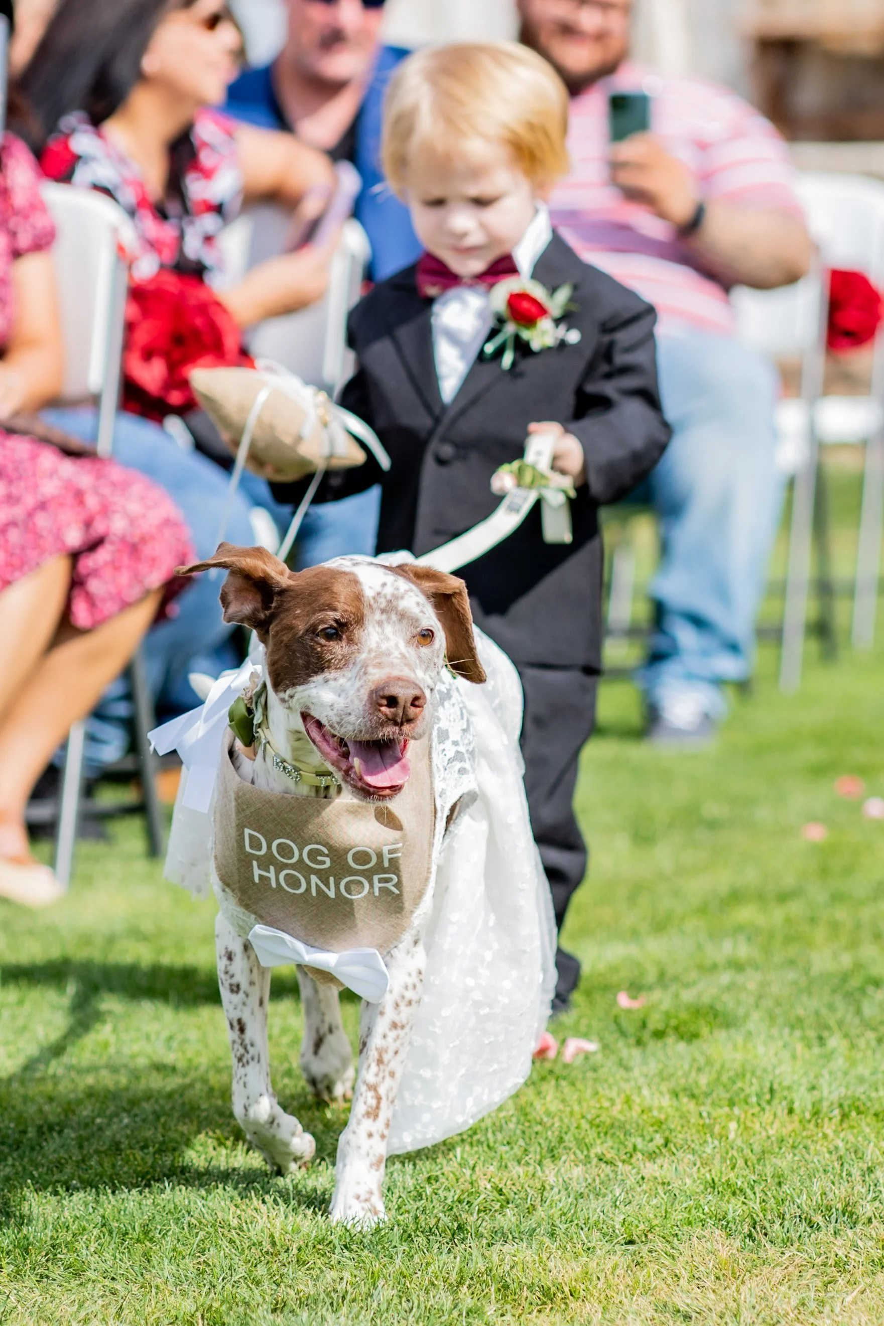 ring-bearer-walking-dog-down-aisle-amarillo.jpg