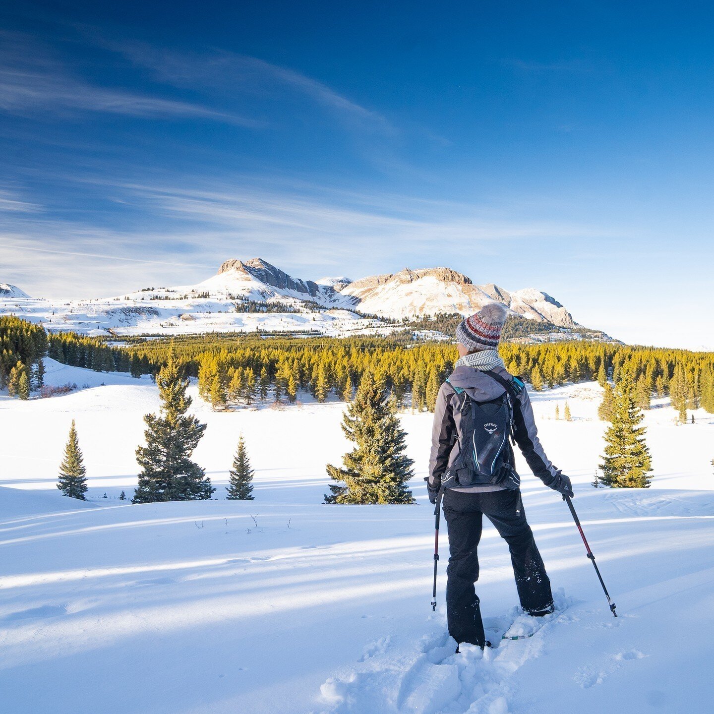 It's Friday so that means it's time to make plans to get out there. And by there, we mean anywhere that relaxes the mind while strengthening the body.⁠
⁠
#careForDurango #sustainability #durangoColorado #durango #colorado #visitDurango #snow #snowsho