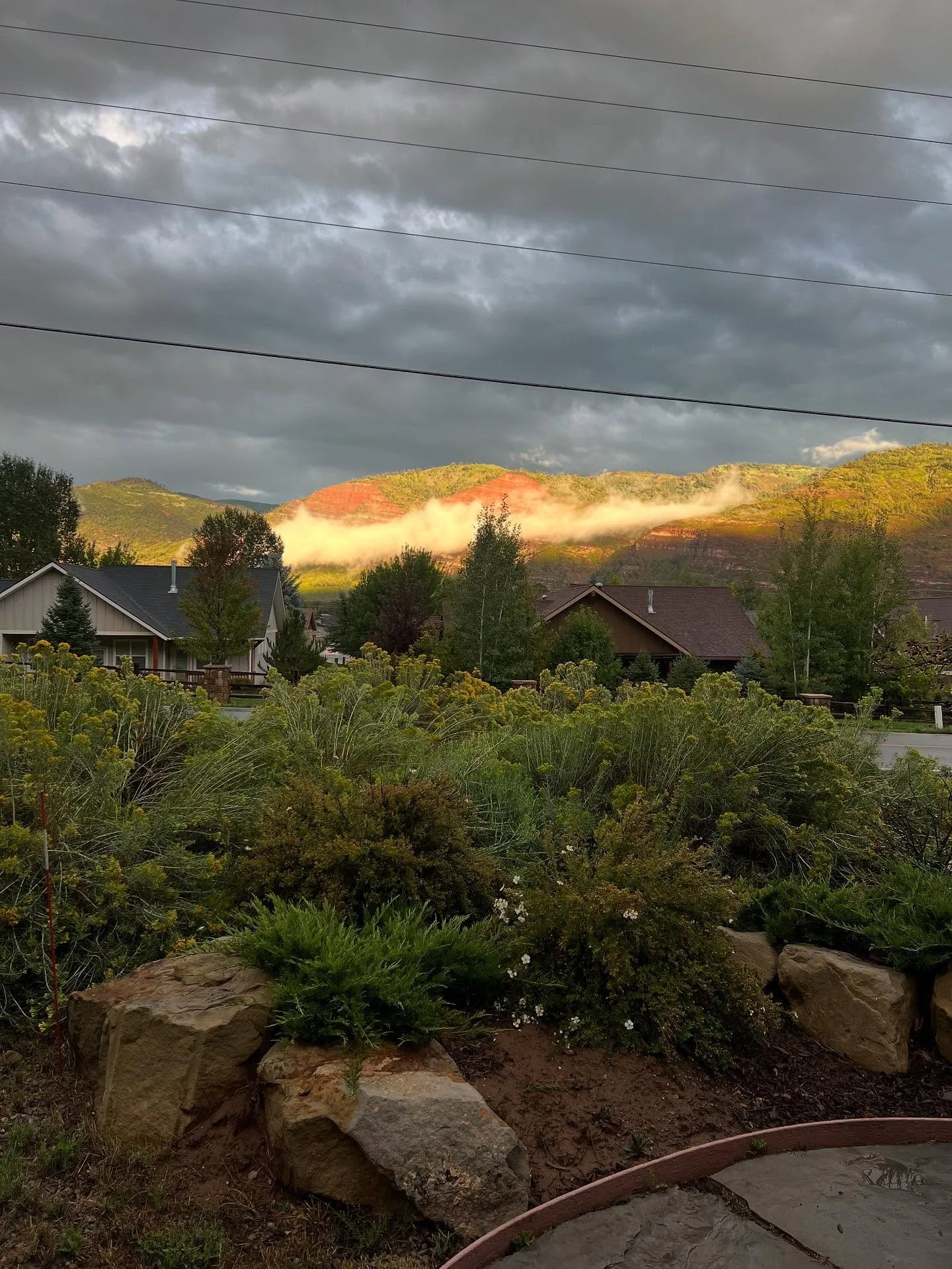 The rains have been greatly appreciated this week! 

#AnimasValley #DurangoColorado