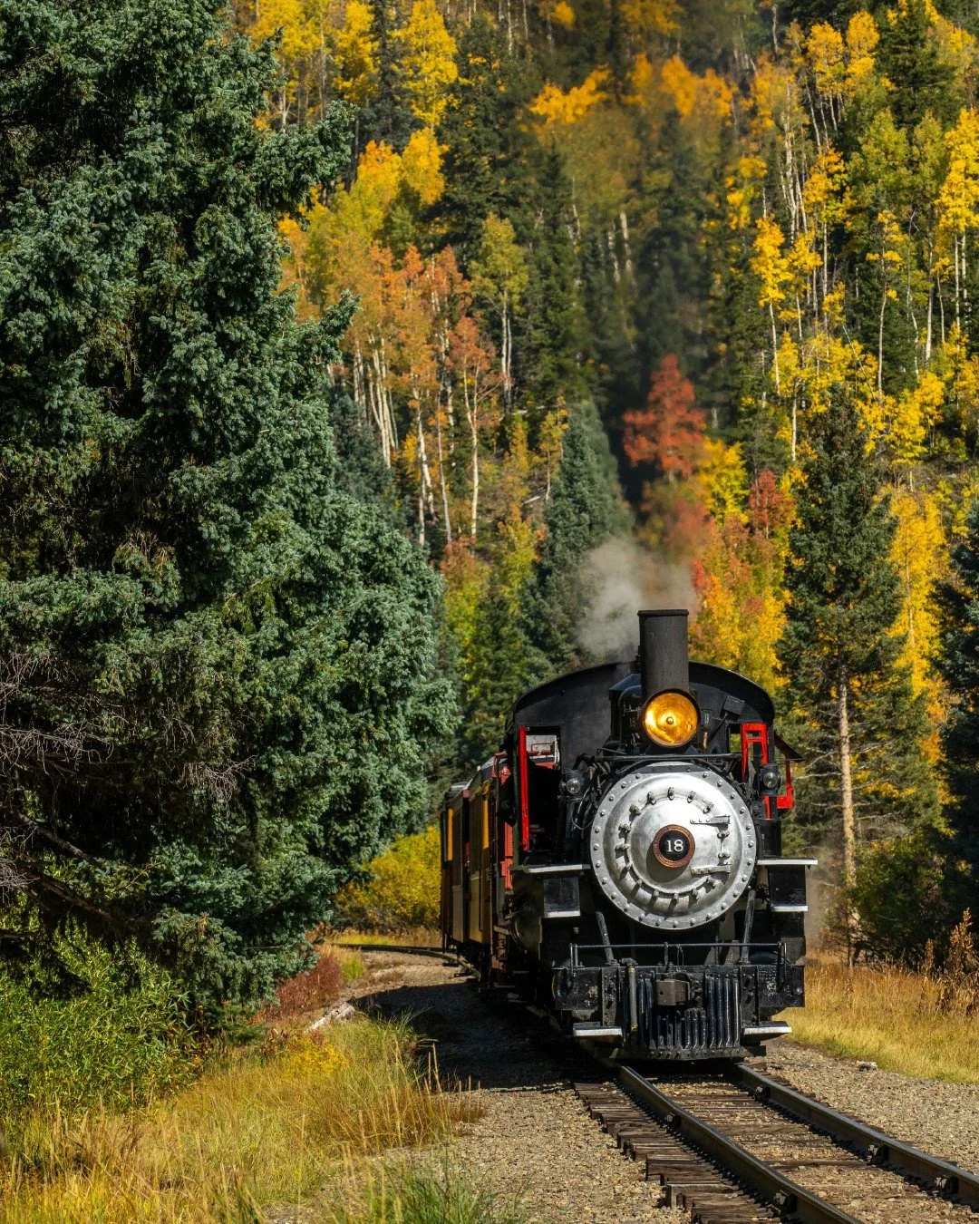 Fall colors are happening at the higher elevations with town trees starting to dress their best now and in the coming weeks. ⁠
⁠
The nights are getting chilly and a transition is in the air. This is a beautiful time to get outside and enjoy nature. I