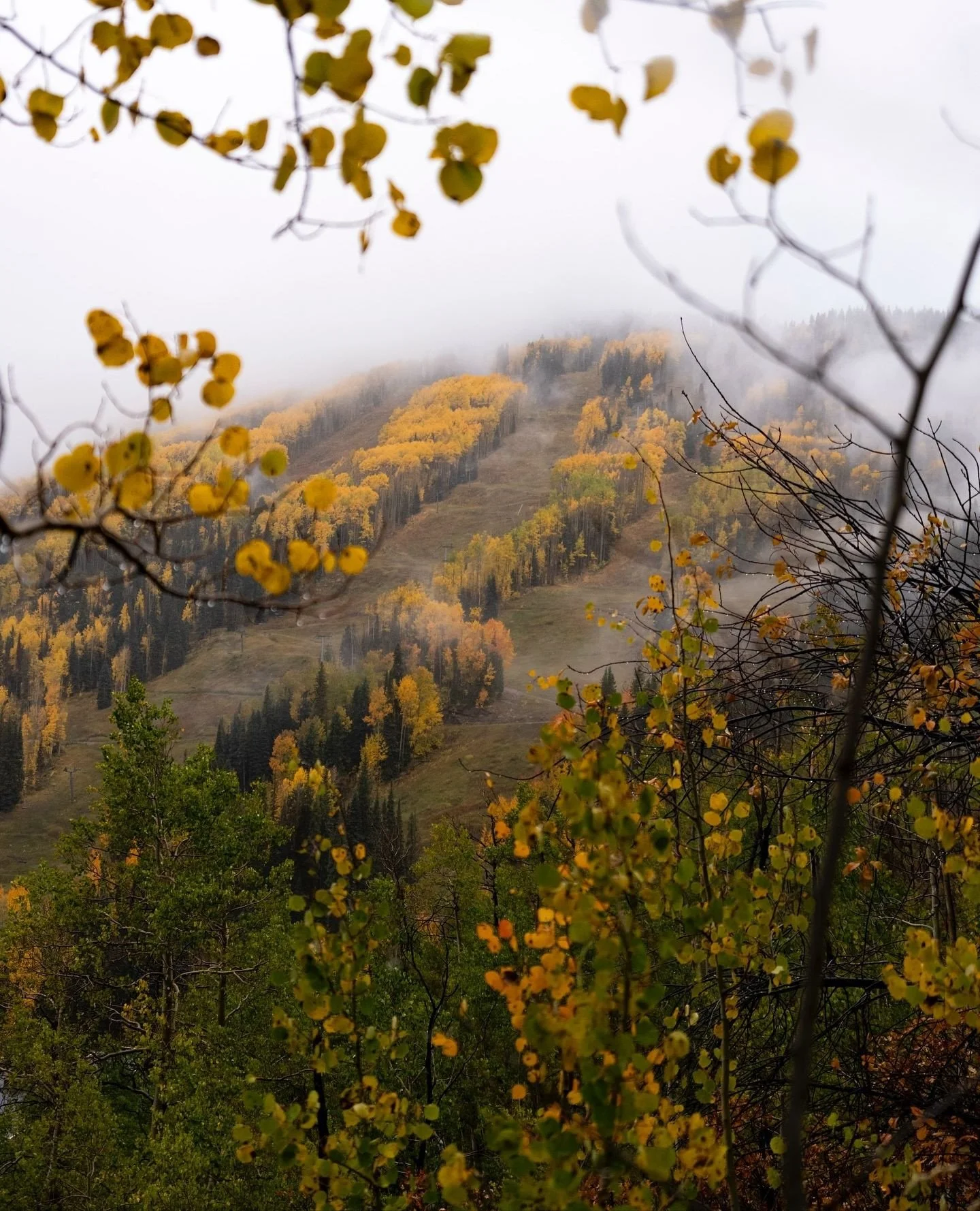 Happy Halloween from Durango Valley View. Here's some semi-recent photos from the Purgatory Resort area setting the mood for tonight's festivities.⁠
⁠
Repost from Purgatory:⁠
☑️ Spooky vibes 👻🎃🍂 ⁠
⁠
📸 Photos @skipurg⁠
⁠
#HappyHalloween #SpookyTer