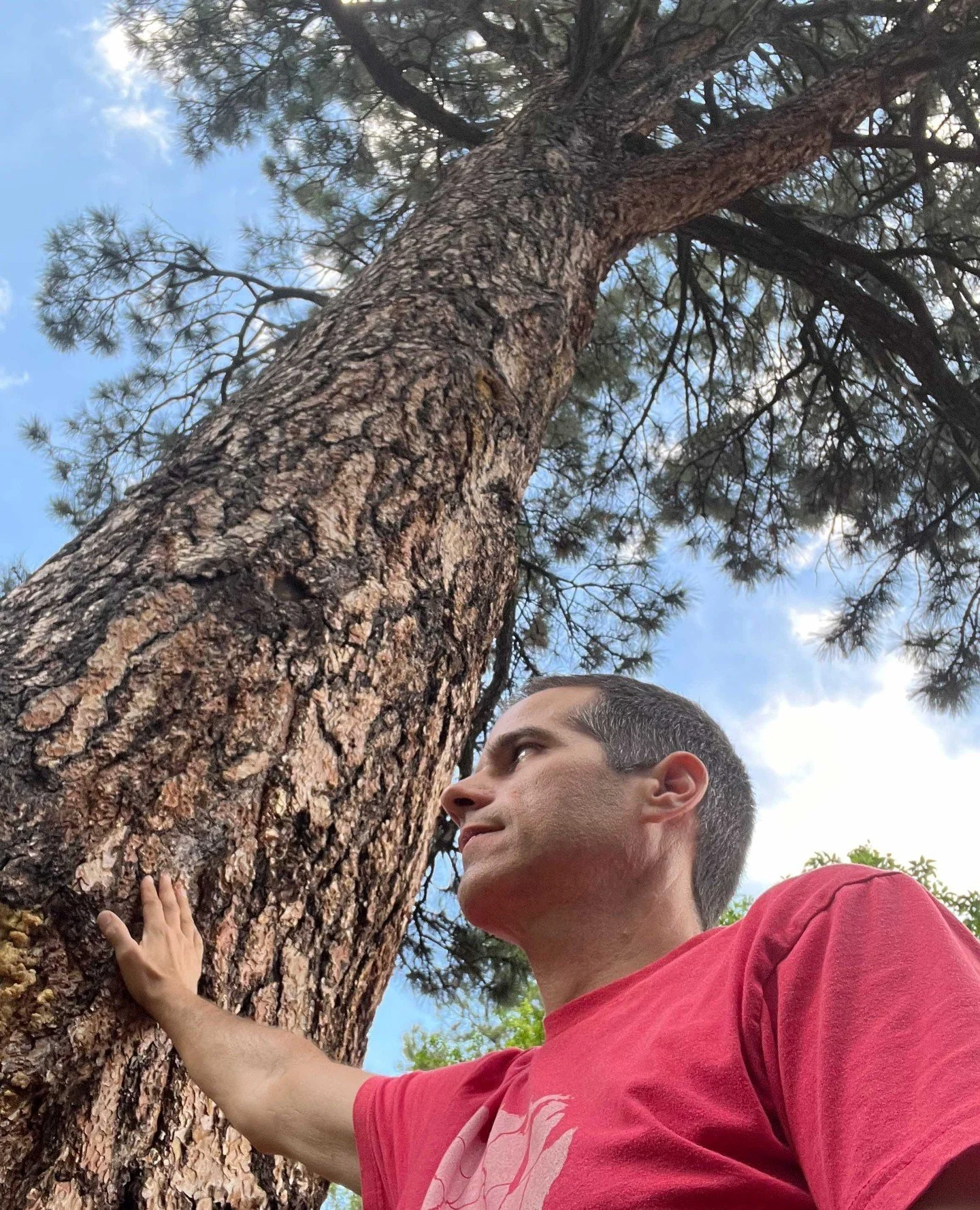 We have some large ponderosa pine near and on the property of Durango Valley View. This guy or gal is humongous and can be seen from every vantage point. ⁠
⁠
#PonderosaPine #BigTree #DurangoValleyView #VisitColorado #DurangoCO #AnimasValley #PineTree