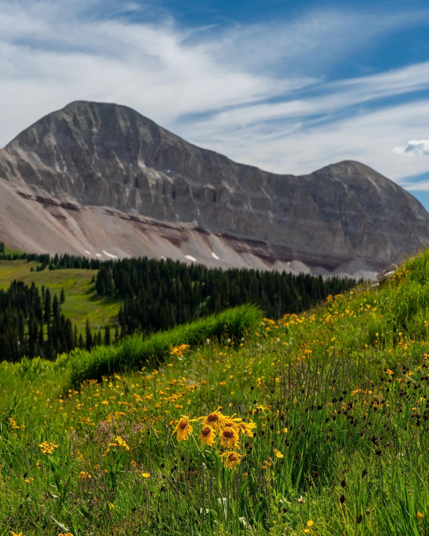Spring is coming fast and that means Spring Break is here or just around the corner. Check us out if you're wanting to stay in a centrally-located home with easy access to Durango, hot springs, mountain drives and what's left of a skinny ski season (