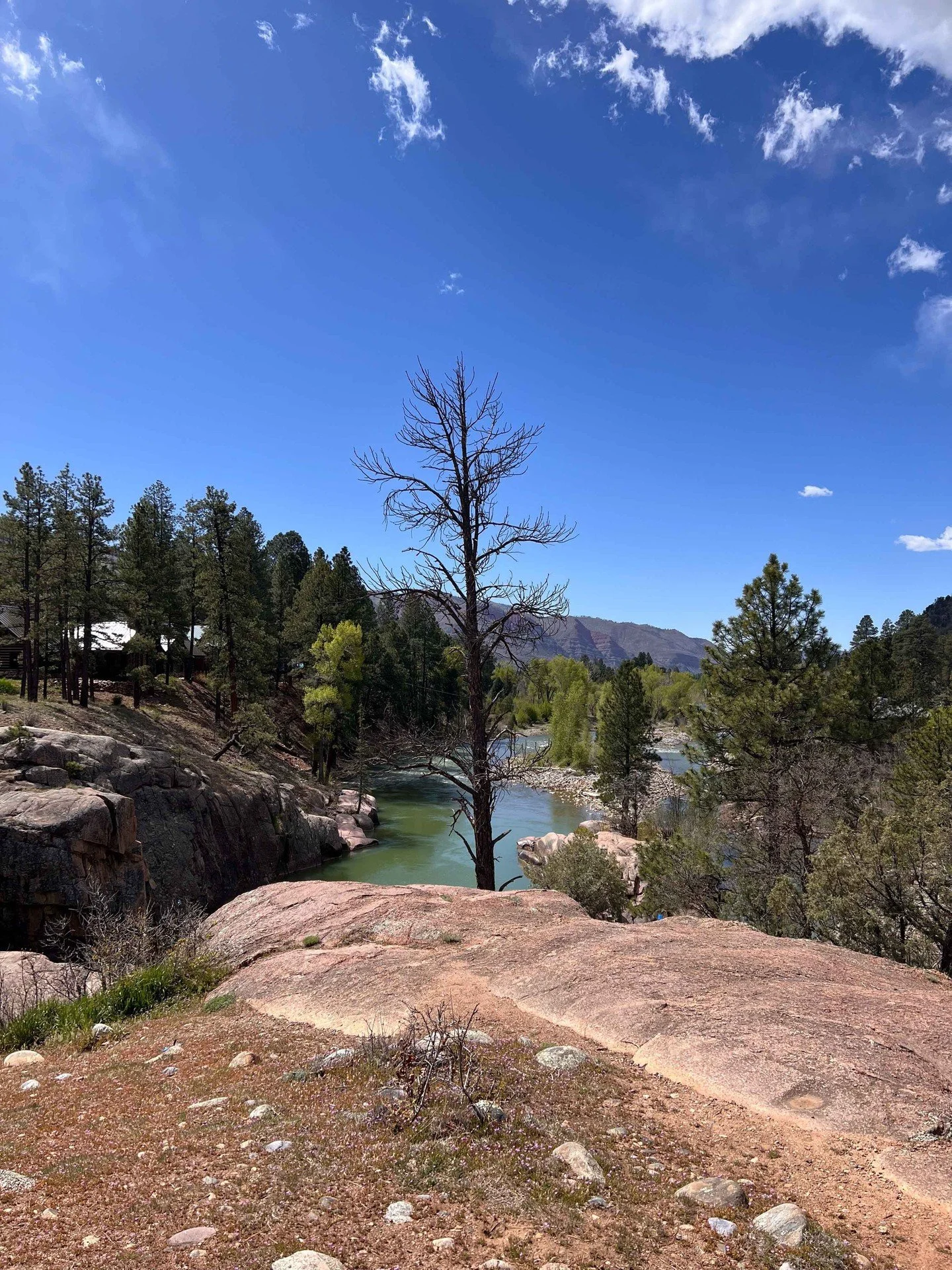 Dog days of summer and can't wait to see the sights by bike. And where we can't bike then we'll go for a hike. There's always something to do outside around Durango.⁠
⁠
Check us out if you are looking for a place to stay in southwestern Colorado. ⁠
⁠