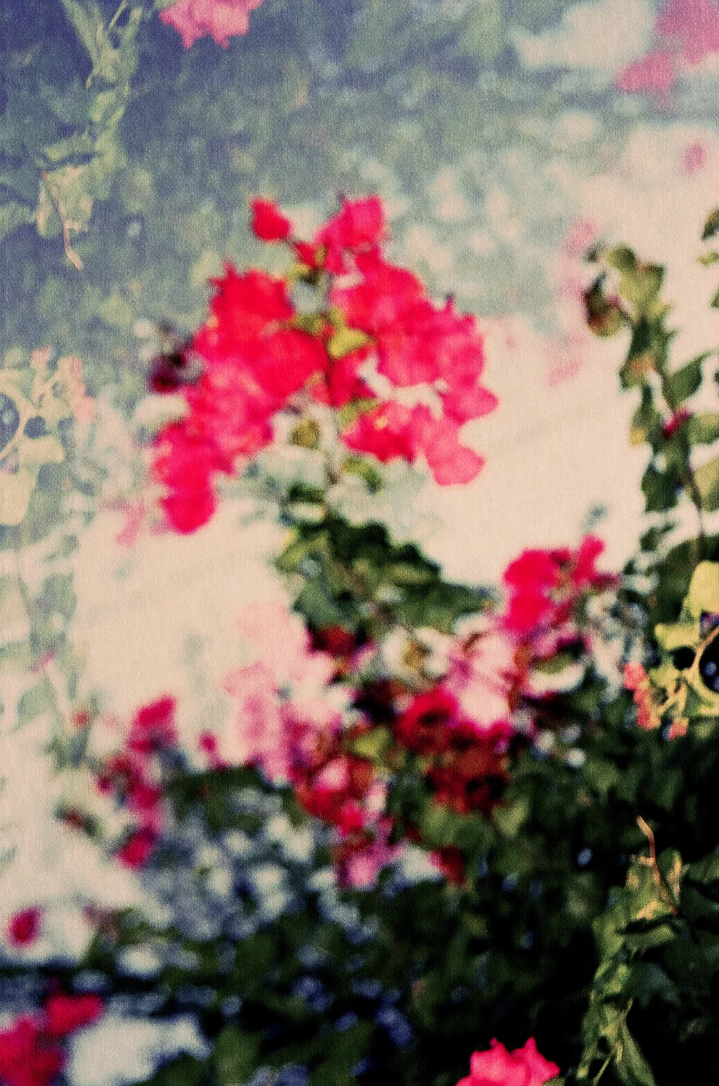 blurryagain-3.jpg