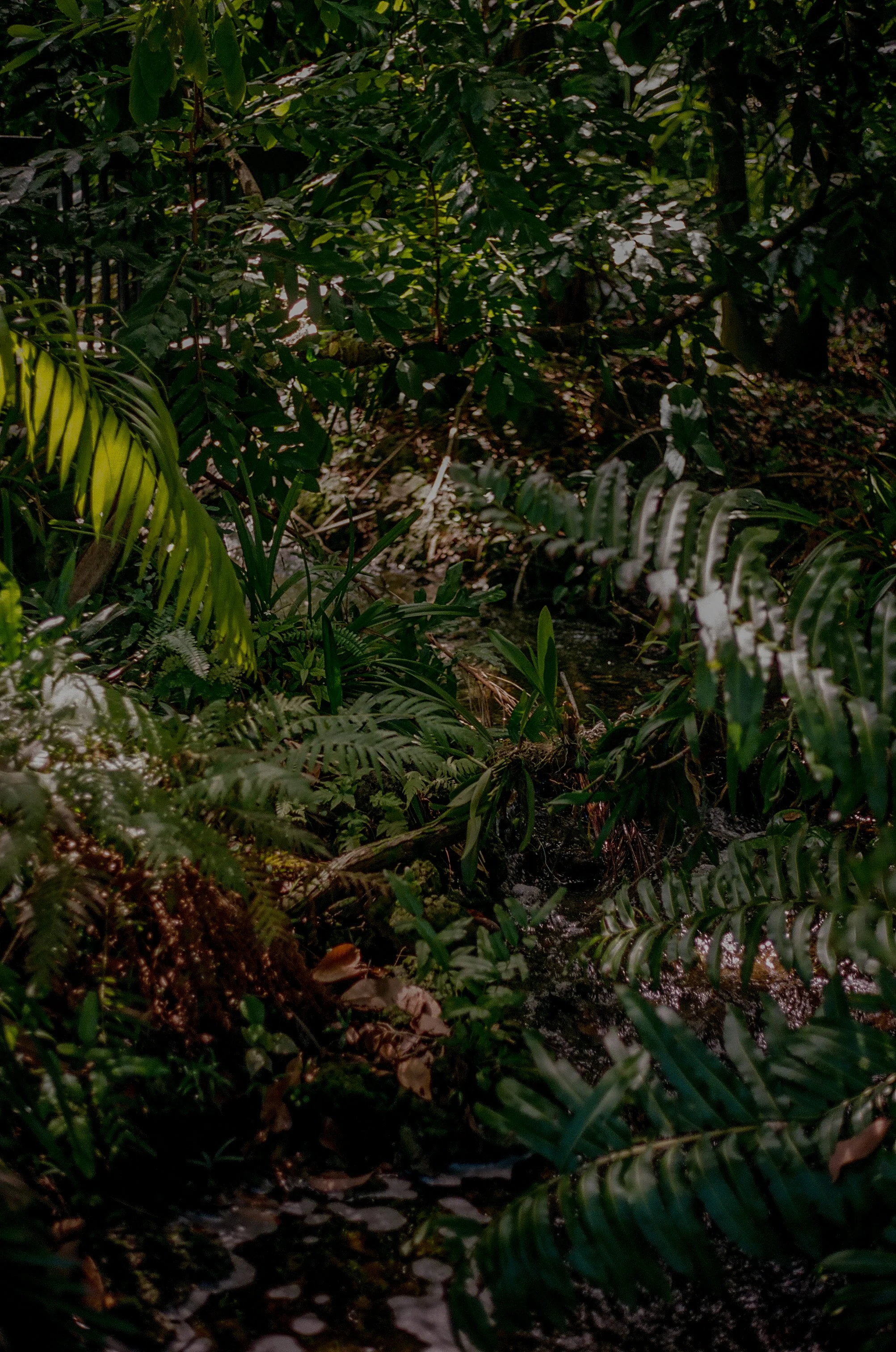 000031100026.jpg
