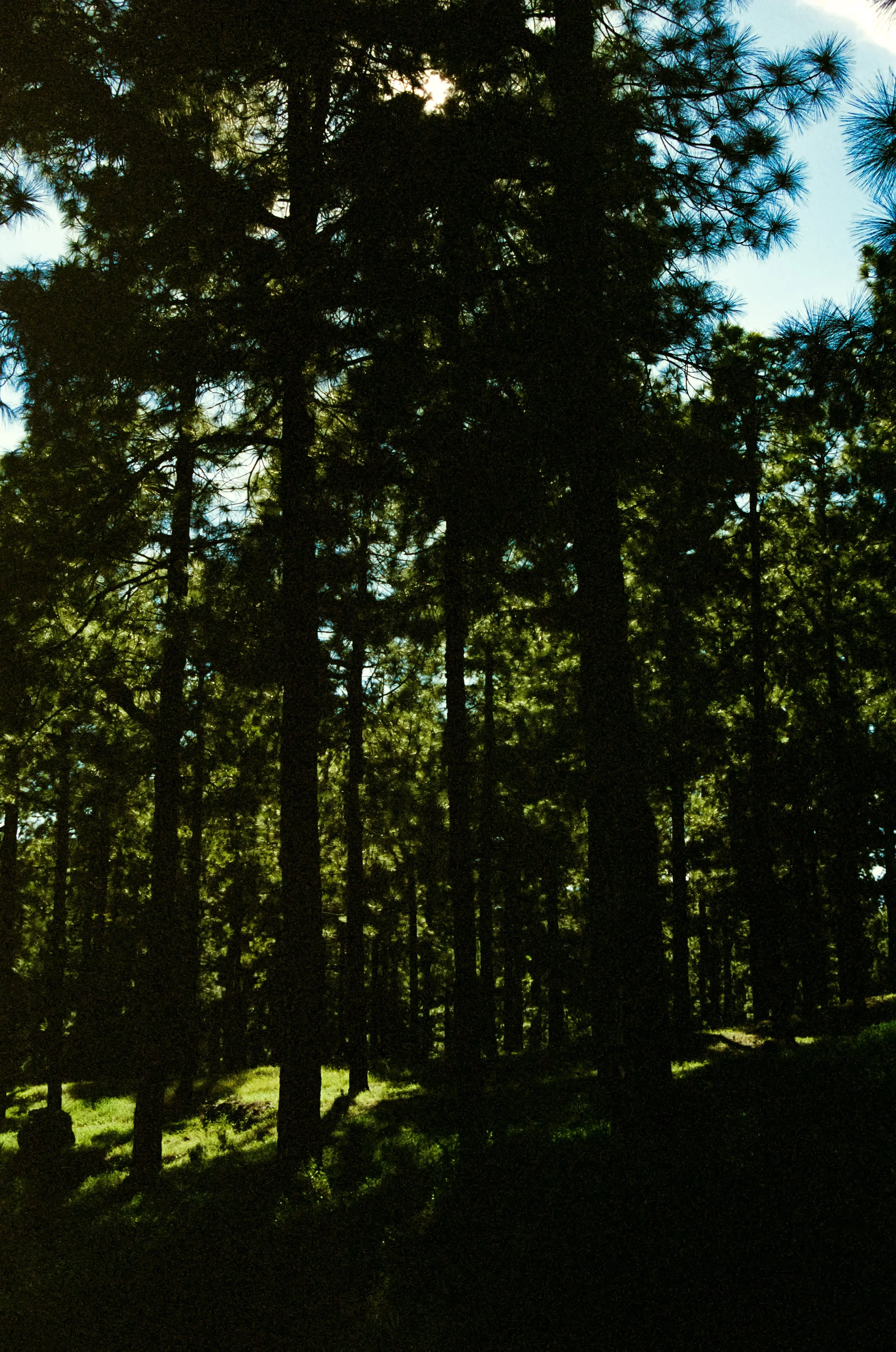 000069390034 copy 2.jpg