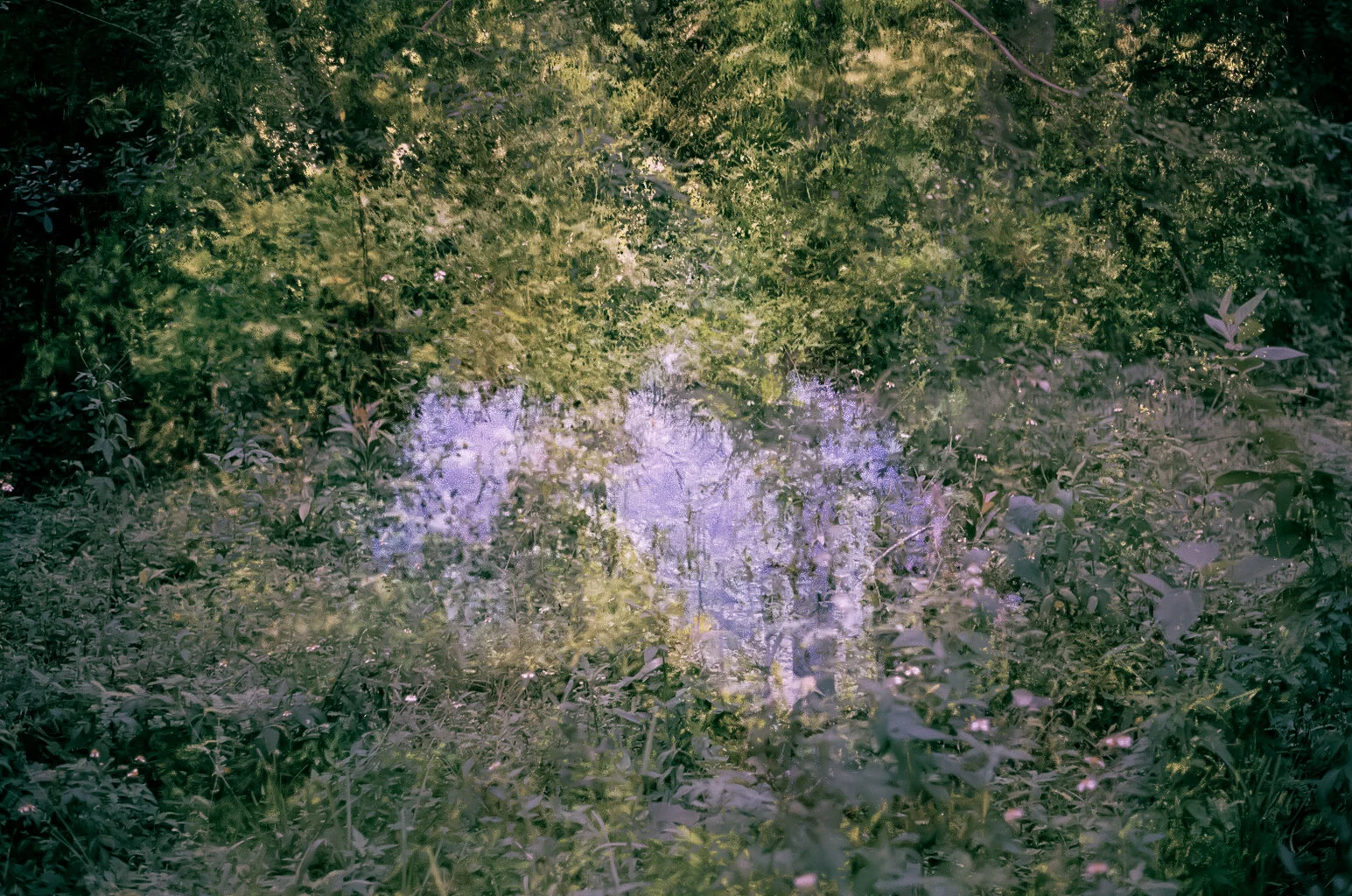 green2-4.jpg