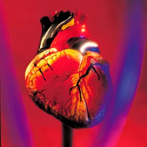 Healthy heart helps fight dementia