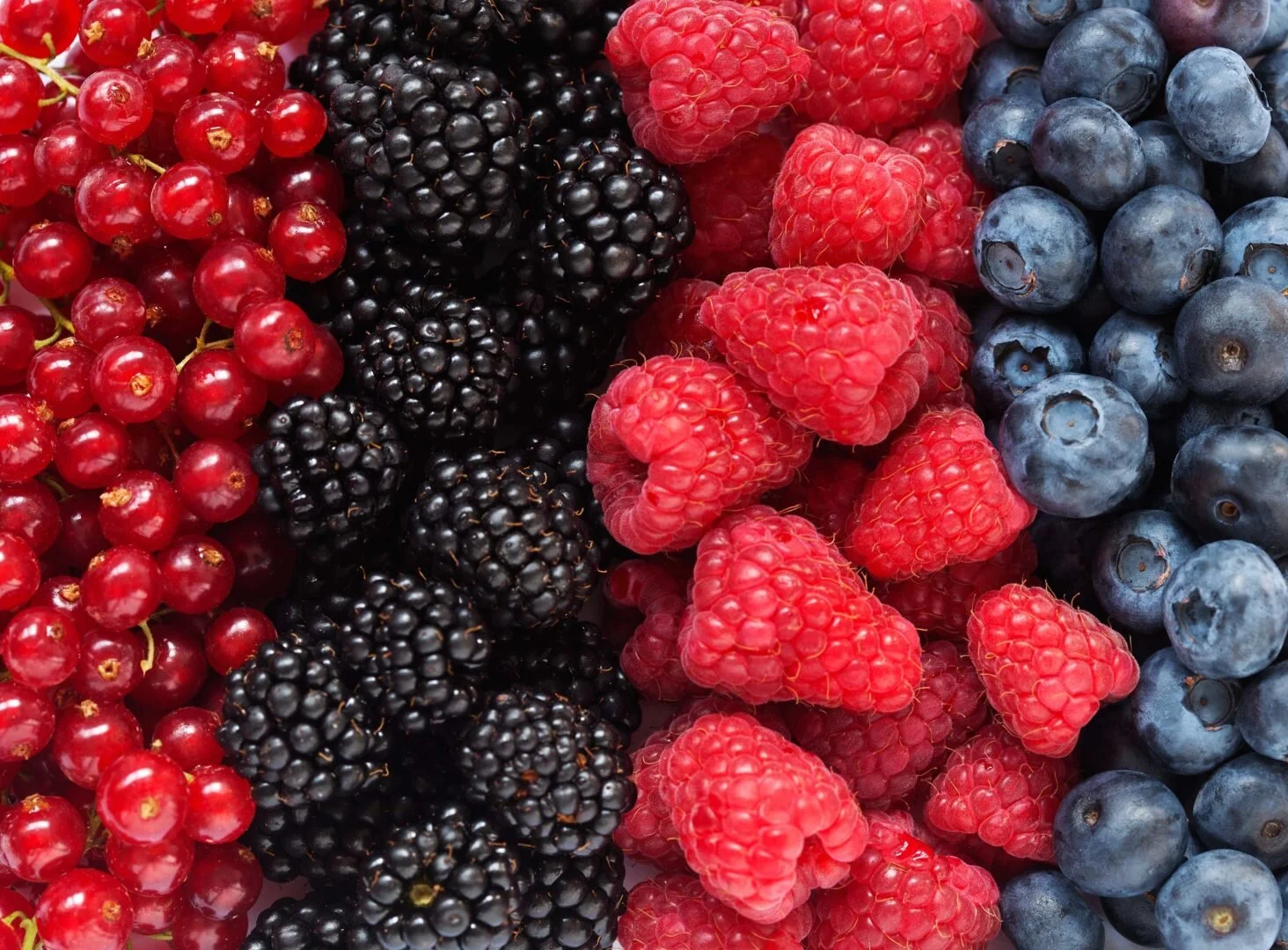 Eat Berries for a Brain Boost