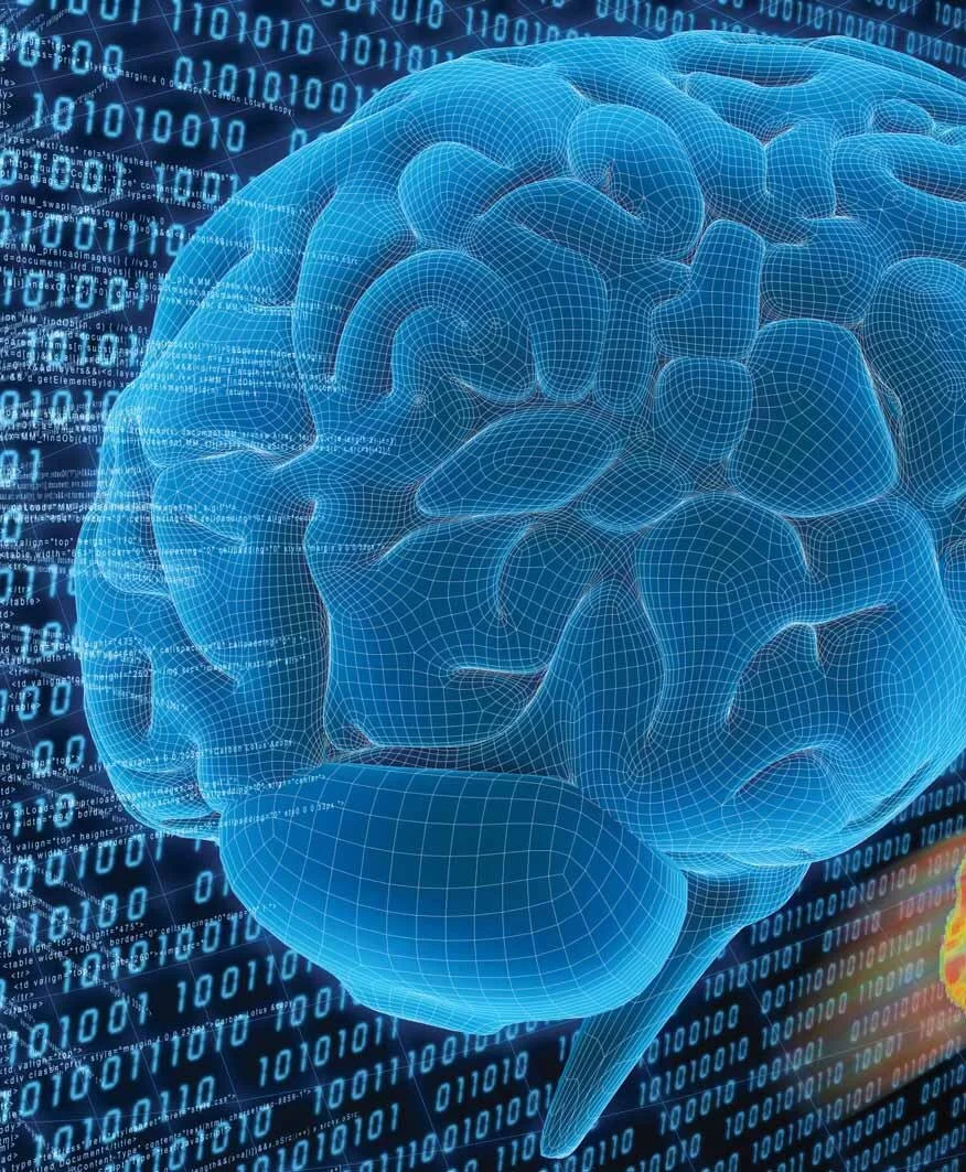 Lifelong Brain-Stimulating Habits Linked to Lower Alzheimer's Protein Levels