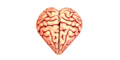 Heart & Brain Connection May Lead to Alzheimer's Treatment