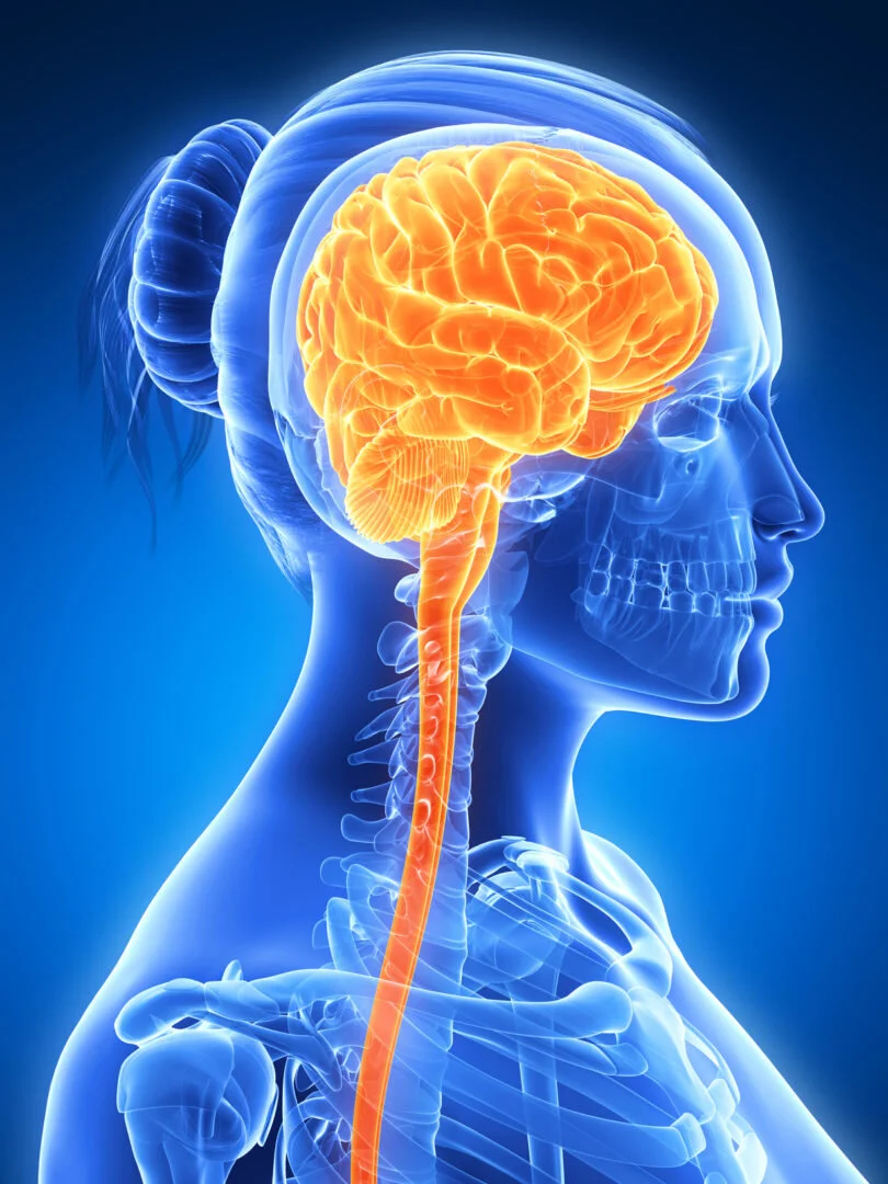 How to keep your brain healthy