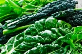 Green leafy veggies benefit brain health