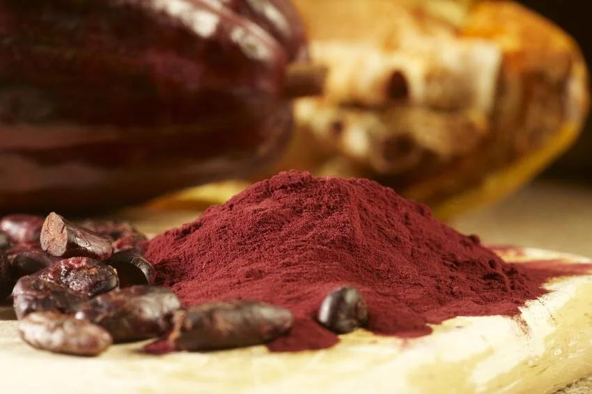 Cocoa flavanols may reverse age-related memory decline