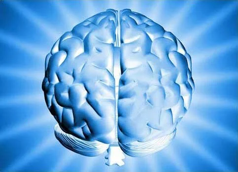 5 Cutting-edge Alzheimer’s Research Breakthroughs in Nov 2014