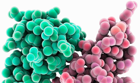 Improving memory through Alzheimer's-linked molecule 