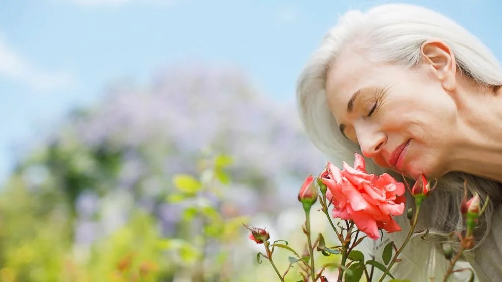 Loss of smell, an early Alzheimer's sign, reversed in lab