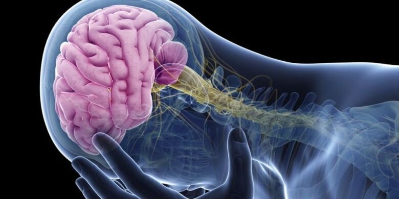 Does Amyloid Kill in Alzheimer’s, Heal in MS?