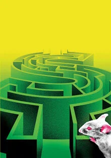 Of Mice and Women: Testing Lab Animals to Understand Our Health