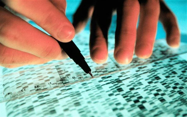 Male DNA in women's brains could protect against Alzheimer's