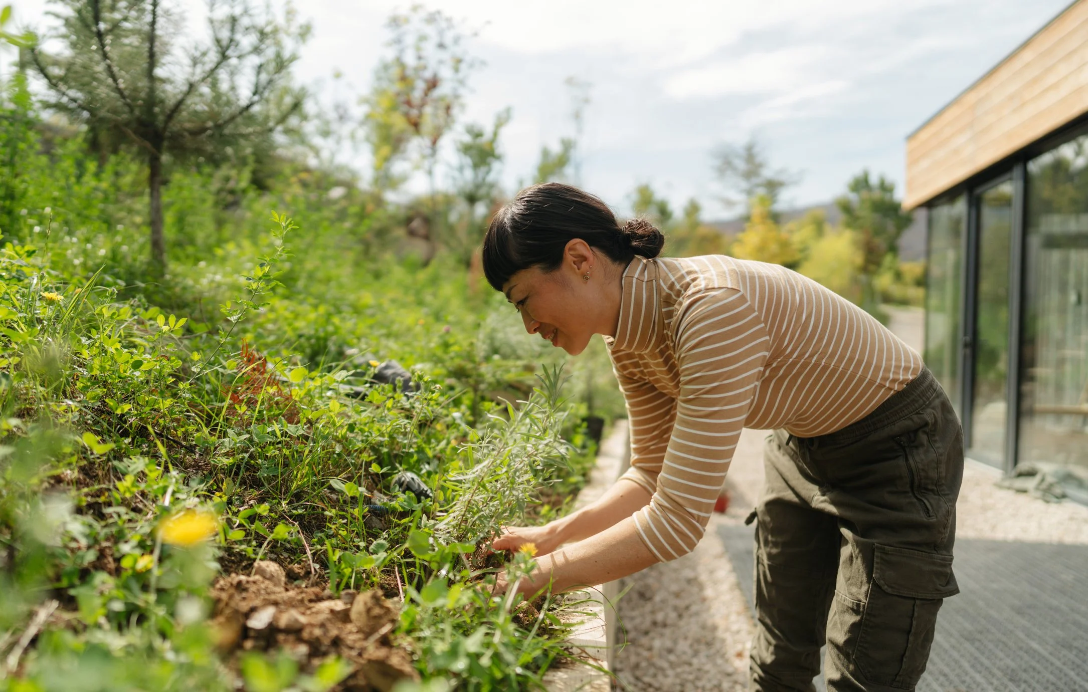 woman gardening herbs in spring