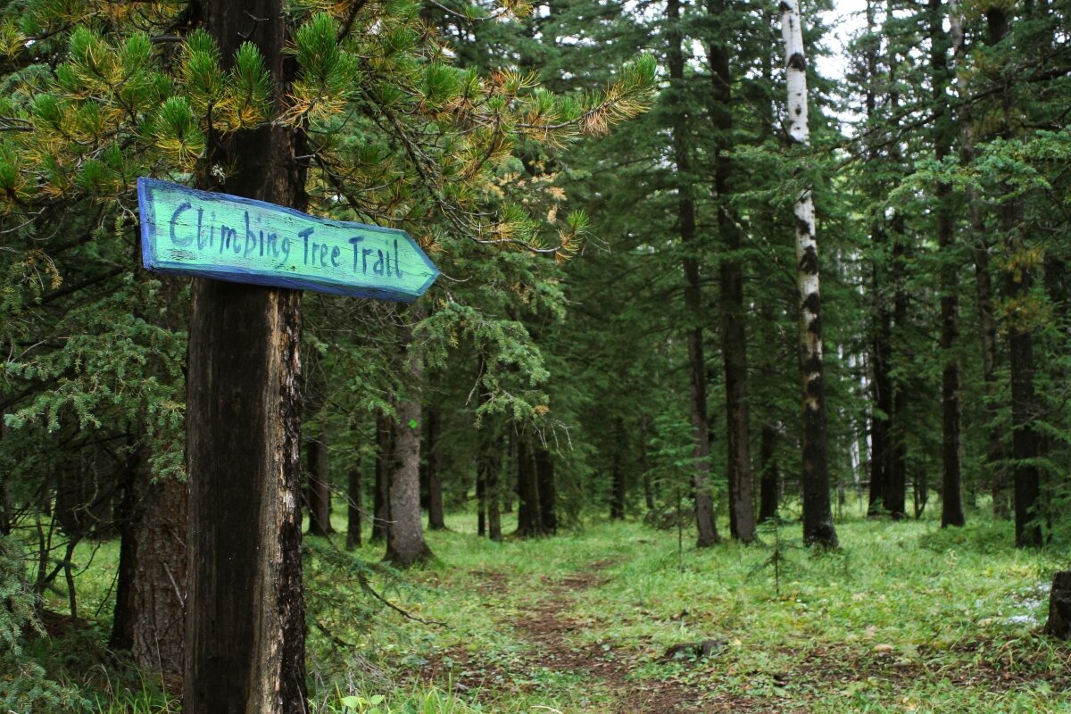 climbingtrail.jpg