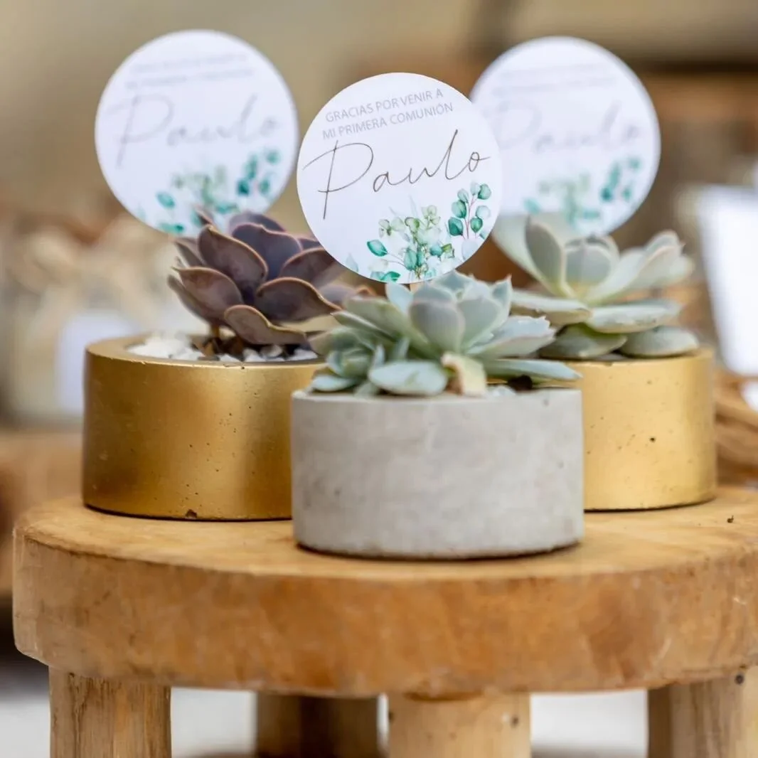 Es temporada de Bodas 🤵👰-

En tu Boda di Gracias 💚 a aquellos que te acompa&ntilde;aron a recorrer ese hermoso camino hasta ese d&iacute;a maravilloso🥰🥰.

Nuestros #greengifts 🌱🌱 son s&uacute;per f&aacute;ciles de cuidar, Riego moderado y de 4